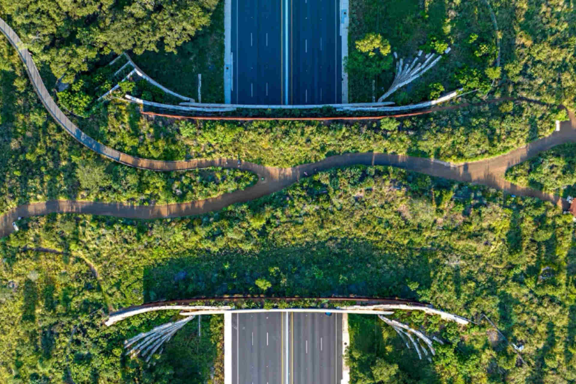 Un manuale sulla biodiversità per gli architetti paesaggisti