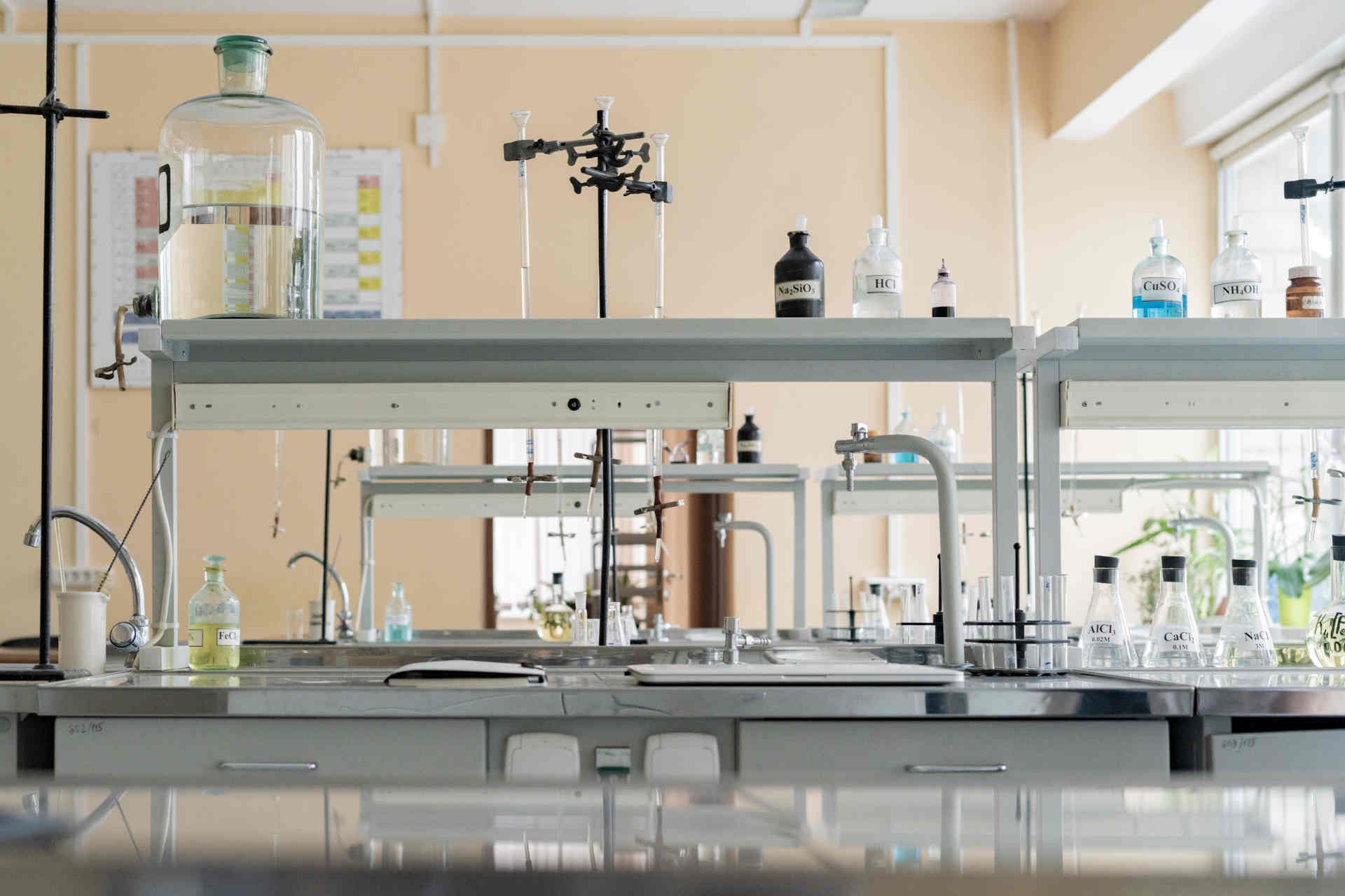 La rivoluzione della lignina: da scarto a materia prima per farmaci
