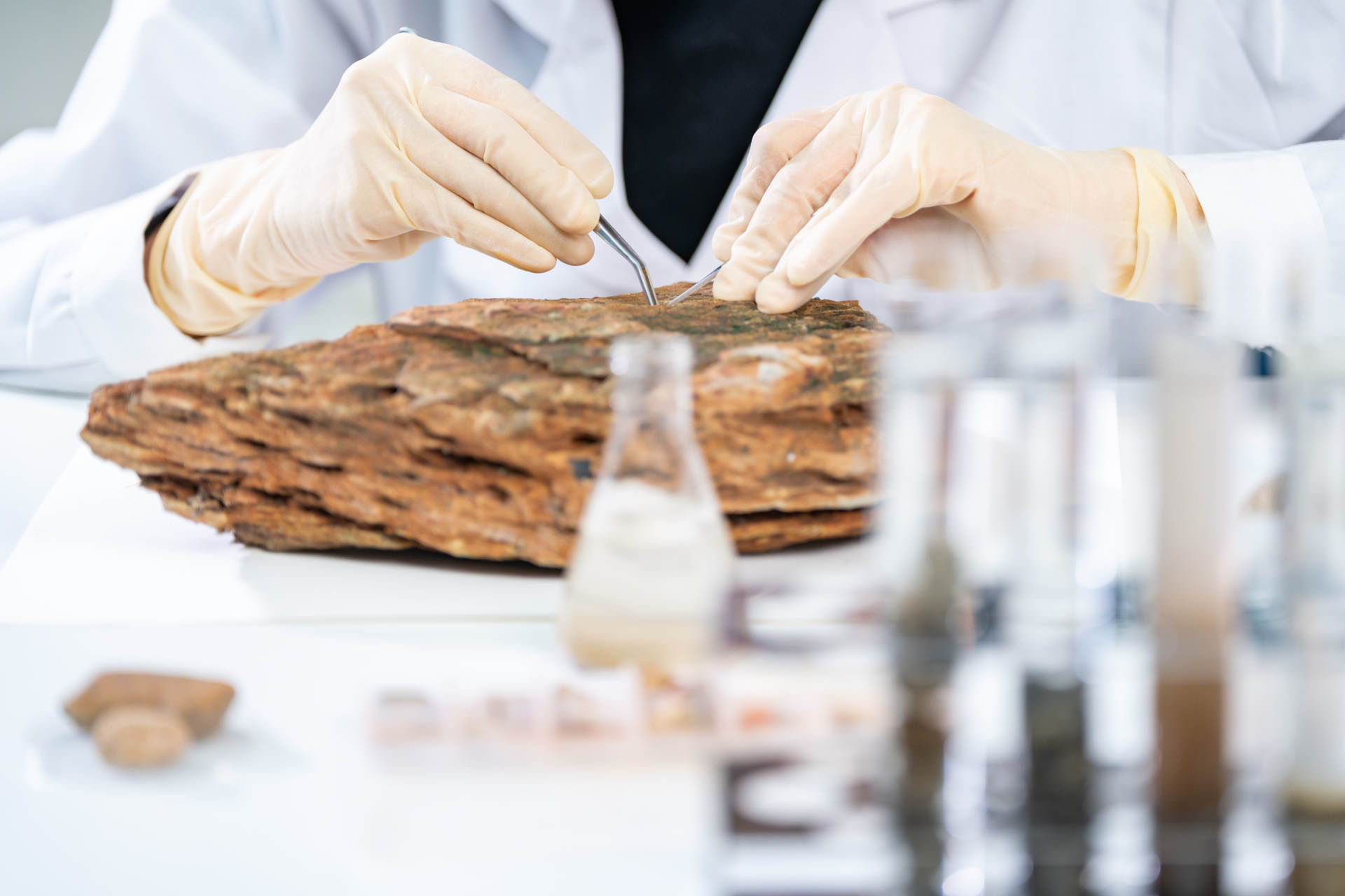 Katalin Barta: la chimica verde dagli alberi ai farmaci