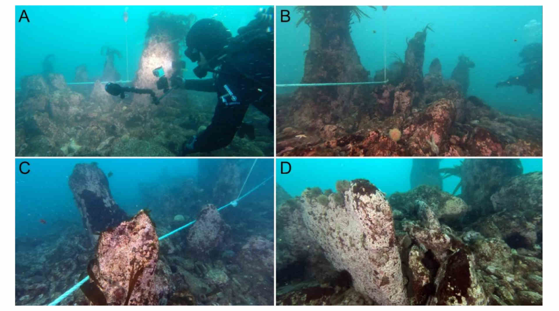 Nuova importante scoperta dell'archeologia subacquea