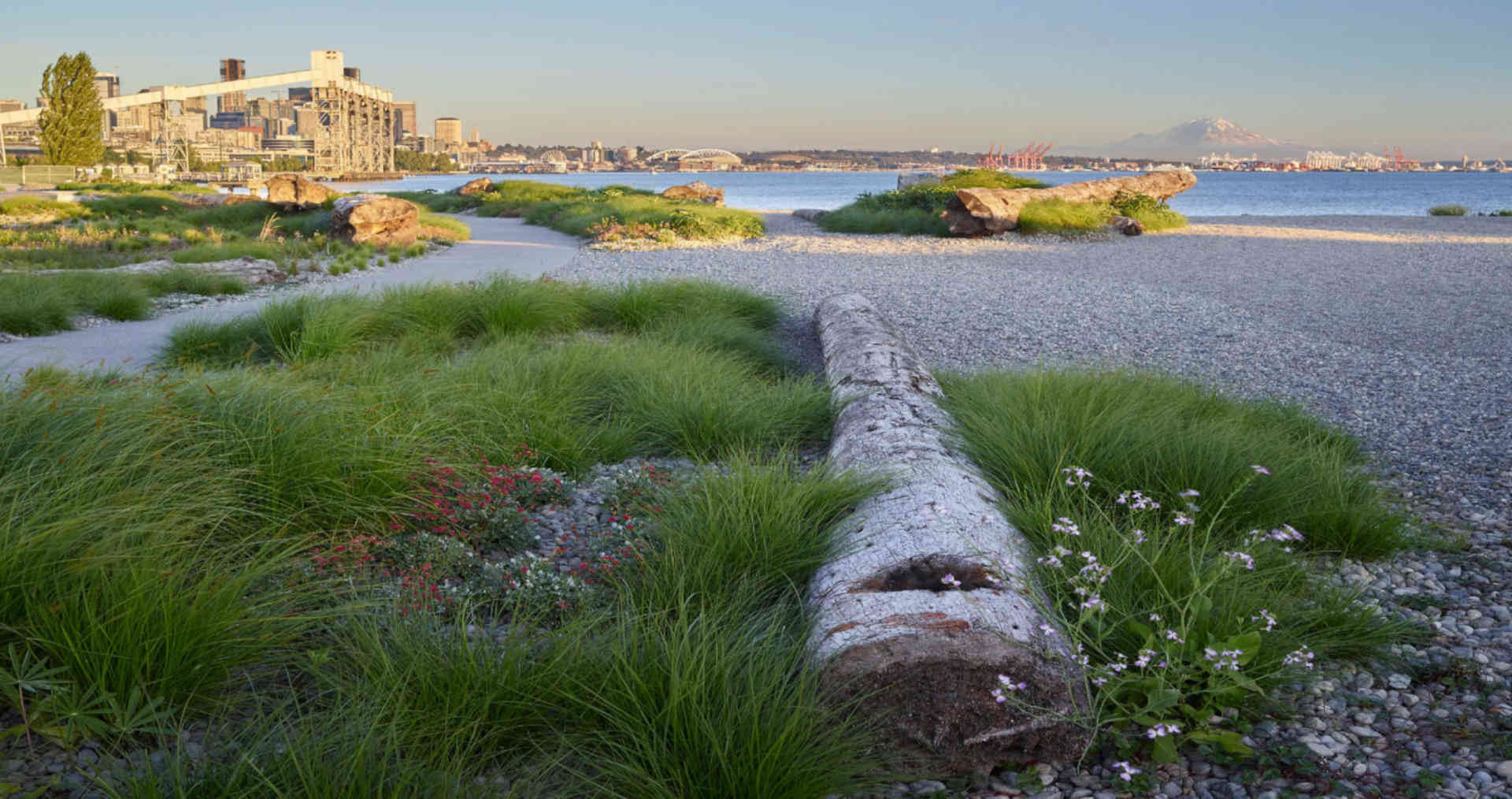 Etica dell'architettura: i paesaggisti diventano custodi dell'ecologia