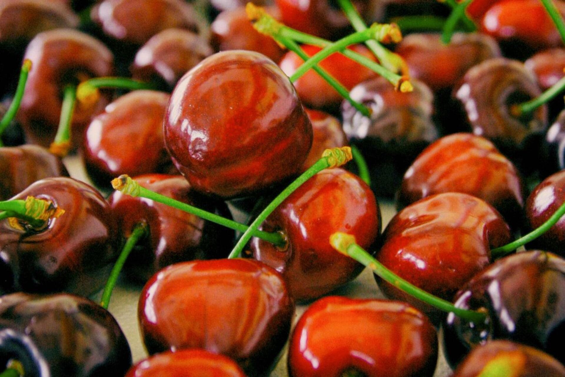 Innovazione genomica: ricerca e sviluppo su mirtilli, uva e ciliegie in centro sperimentale agricolo, test varietali, breeding avanzato e tecnologie per qualità, resa e sostenibilità delle colture di nuova generazione