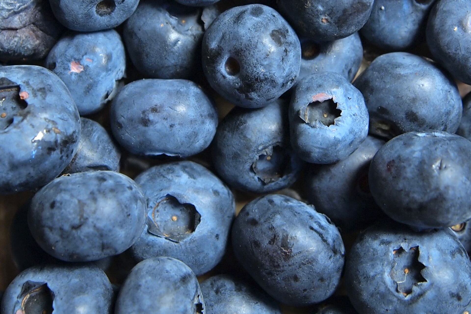 Innovazione genomica: ricerca e sviluppo su mirtilli, uva e ciliegie in centro sperimentale agricolo, test varietali, breeding avanzato e tecnologie per qualità, resa e sostenibilità delle colture di nuova generazione