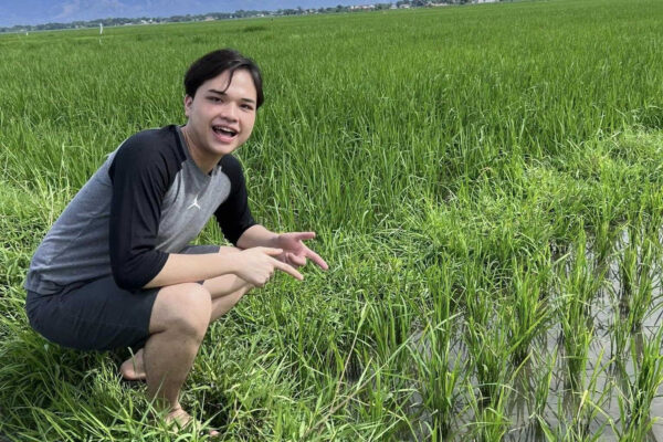 AgriConnect: piattaforma digitale basata su intelligenza artificiale progettata per supportare gli agricoltori nell’identificazione precoce delle minacce alle colture e migliorare la gestione sostenibile dei raccolti