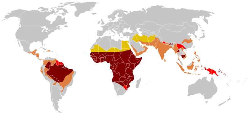 Malaria: ricerca scientifica con supercalcolo e simulazioni molecolari per studiare anticorpi e proteine del parassita, nuove strategie di prevenzione e sviluppo di terapie innovative basate su intelligenza artificiale
