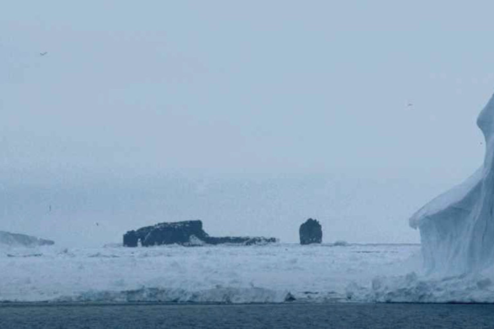 Scott Island: micro-isola antartica disabitata utilizzata come sito campione per dati meteo e oceanici, sperimentazione di strumenti resilienti, infrastrutture di monitoraggio e sistemi digitali per analisi ambientale avanzata