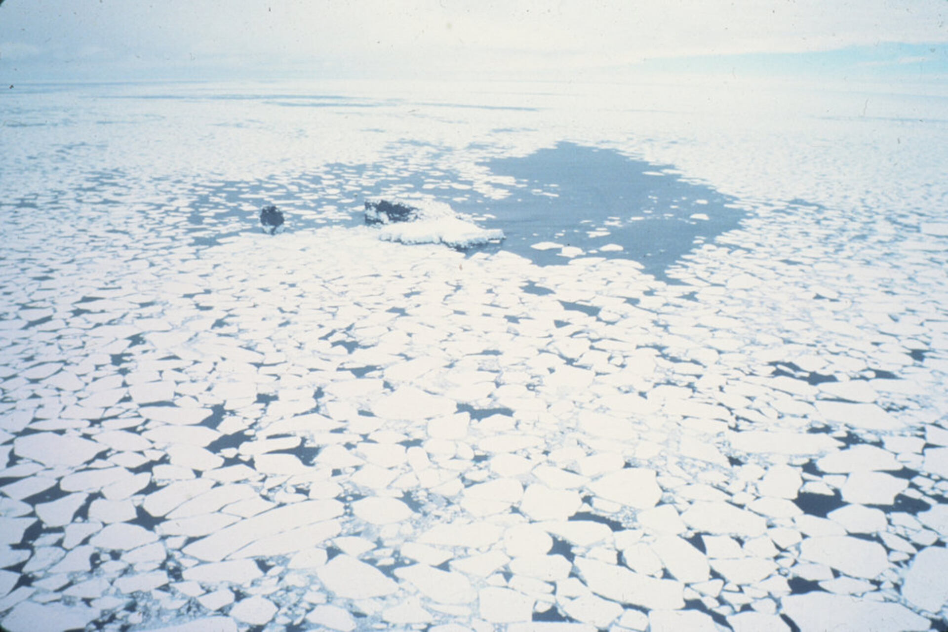 Scott Island: micro-isola antartica disabitata utilizzata come sito campione per dati meteo e oceanici, sperimentazione di strumenti resilienti, infrastrutture di monitoraggio e sistemi digitali per analisi ambientale avanzata