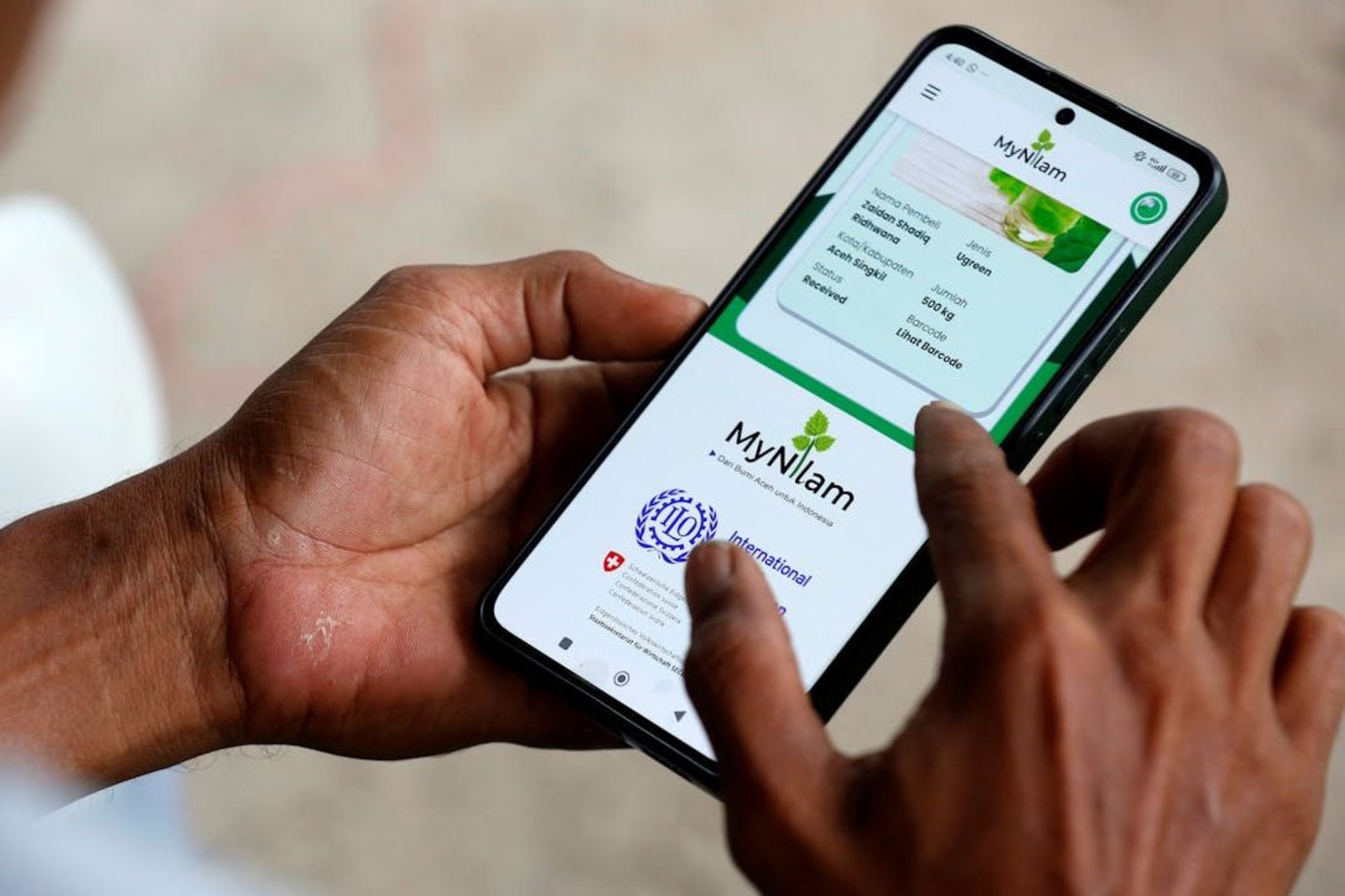 Patchouli: sviluppo della filiera degli oli essenziali ad Aceh con piattaforme digitali, ricerca scientifica e programmi di inclusione finanziaria a sostegno dei piccoli coltivatori e della sostenibilità economica delle comunità rurali