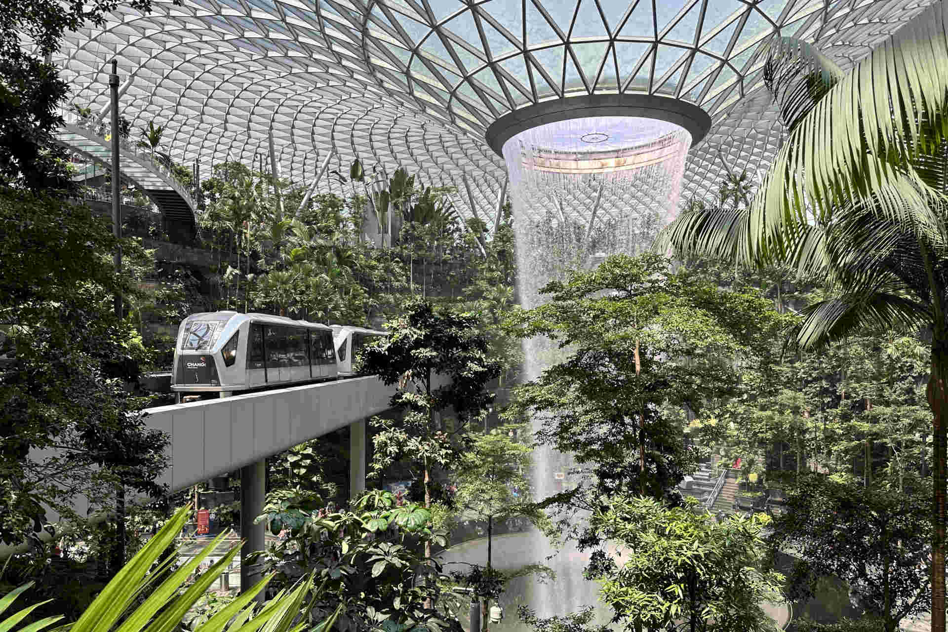 Un nuovo concetto di strada: design biofilico ed effetto curativo