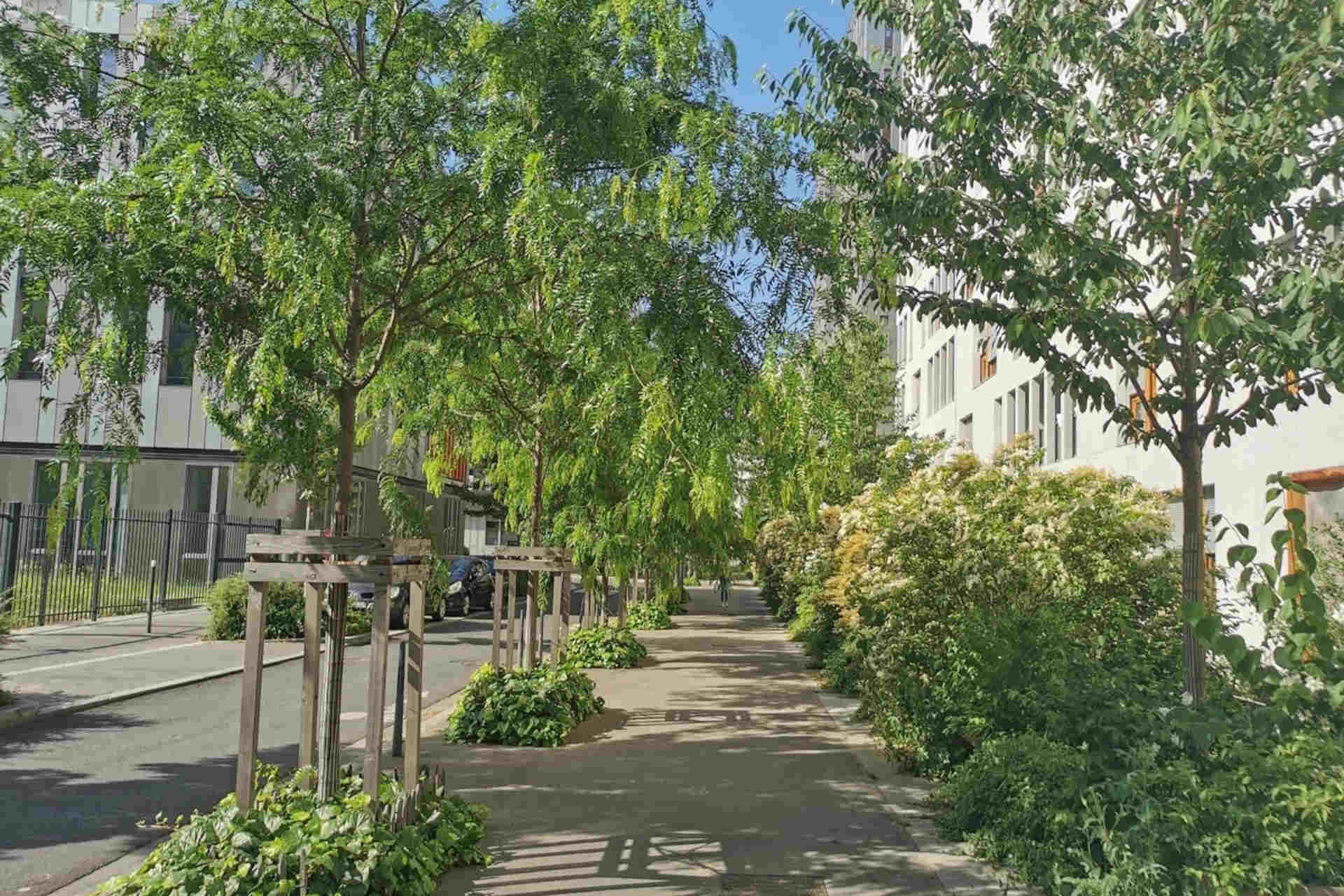 Spazi aperti e vegetazione: come le strade curano il cervello
