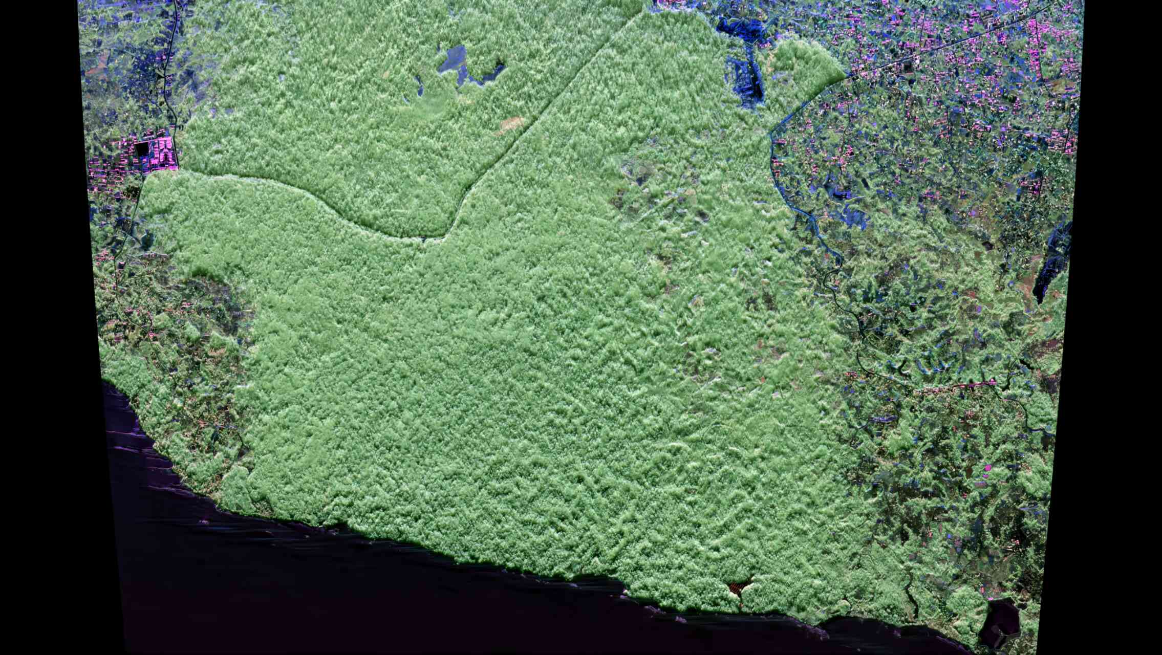 Biomass: osservazione radar delle foreste equatoriali africane utilizzata per calibrare sensori satellitari e studiare la distribuzione della biomassa nelle aree tropicali ricche di biodiversità