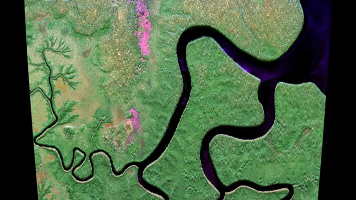 Radar e foreste tropicali: la sfida Biomass prende forma in Gabon
