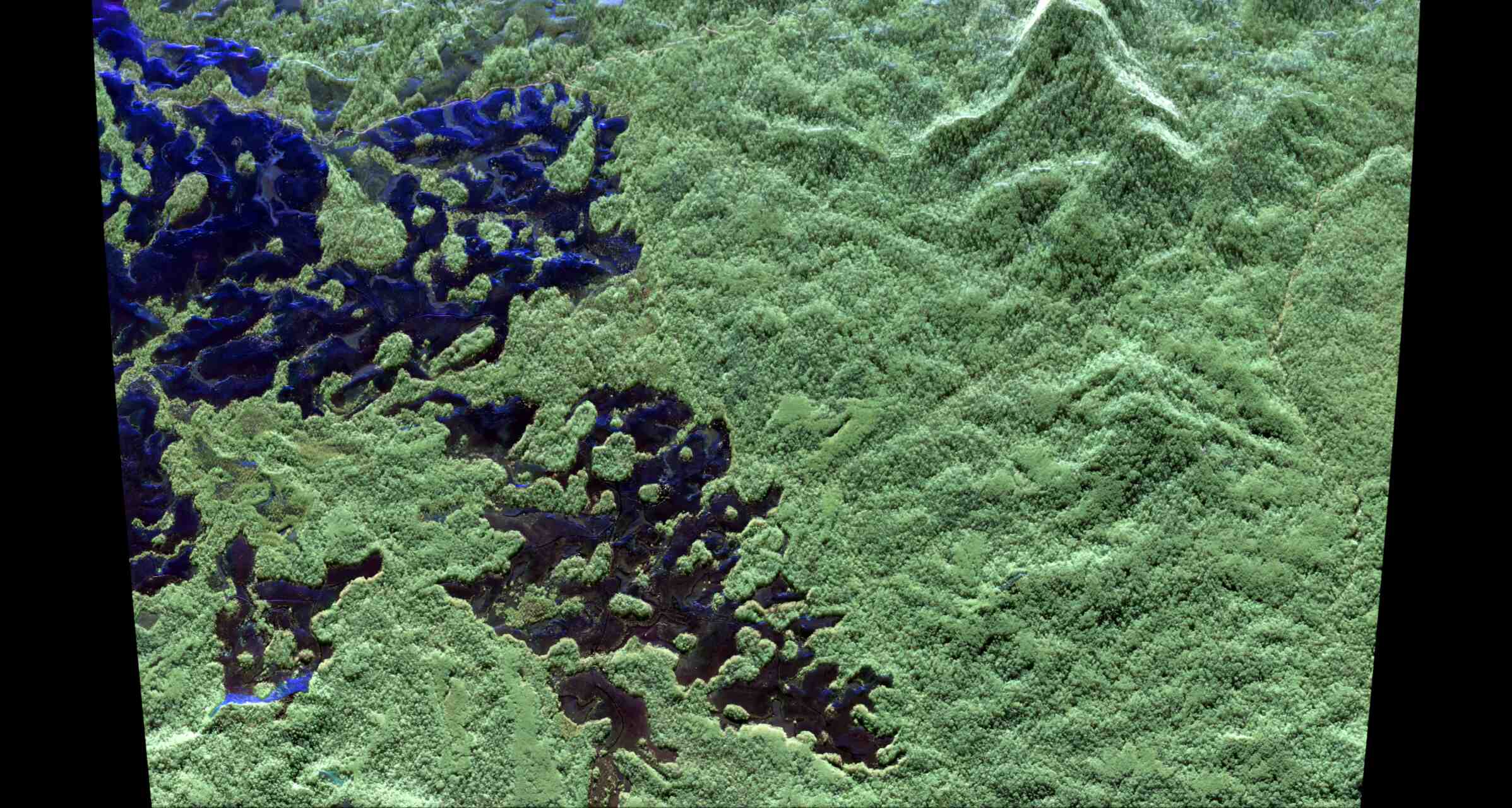 Biomass: immagini radar delle foreste tropicali del Gabon acquisite da satellite e velivoli scientifici per analizzare la struttura della vegetazione e migliorare le stime globali della biomassa forestale