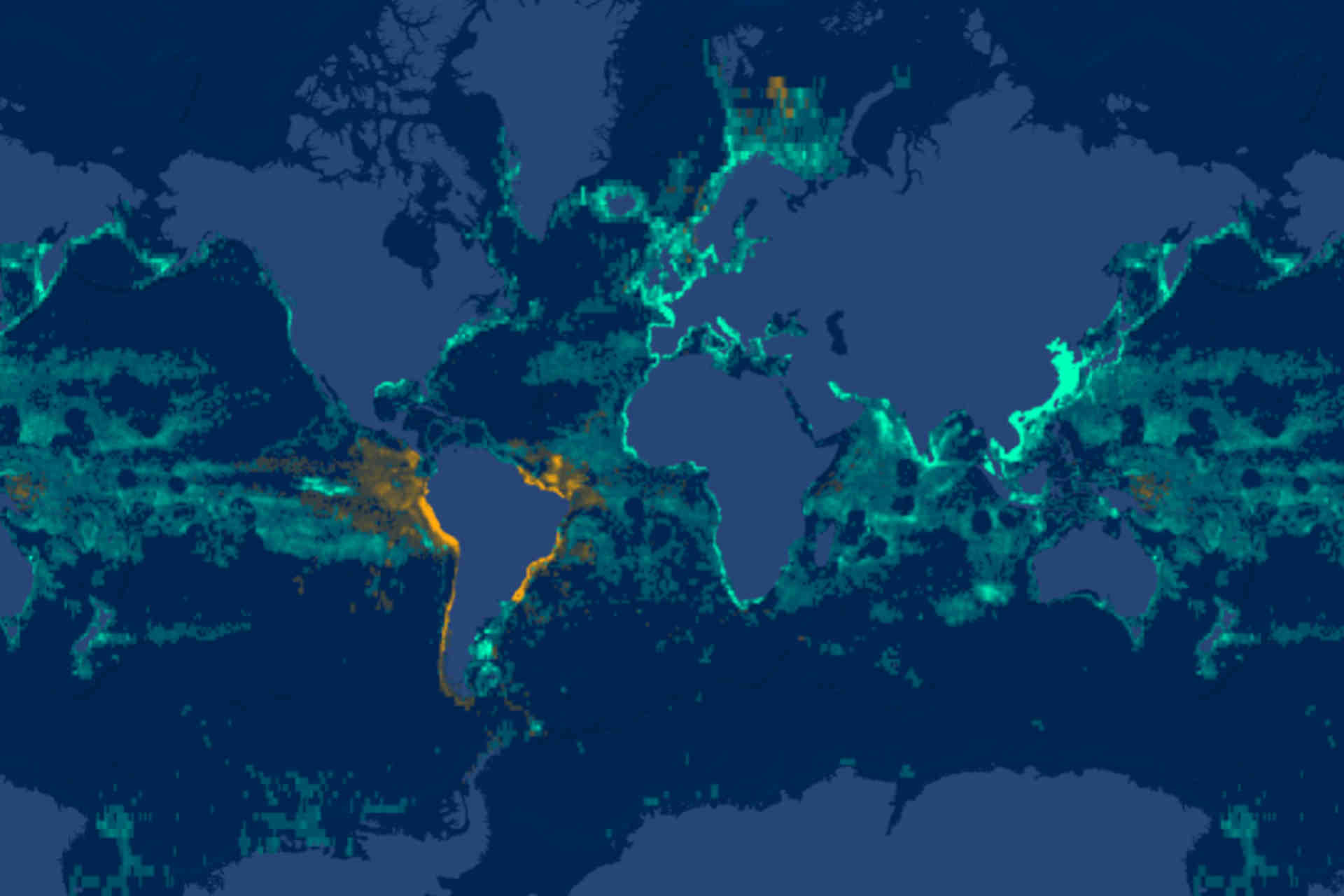 Quanto si pesca nel mondo? E chi ci guadagna?