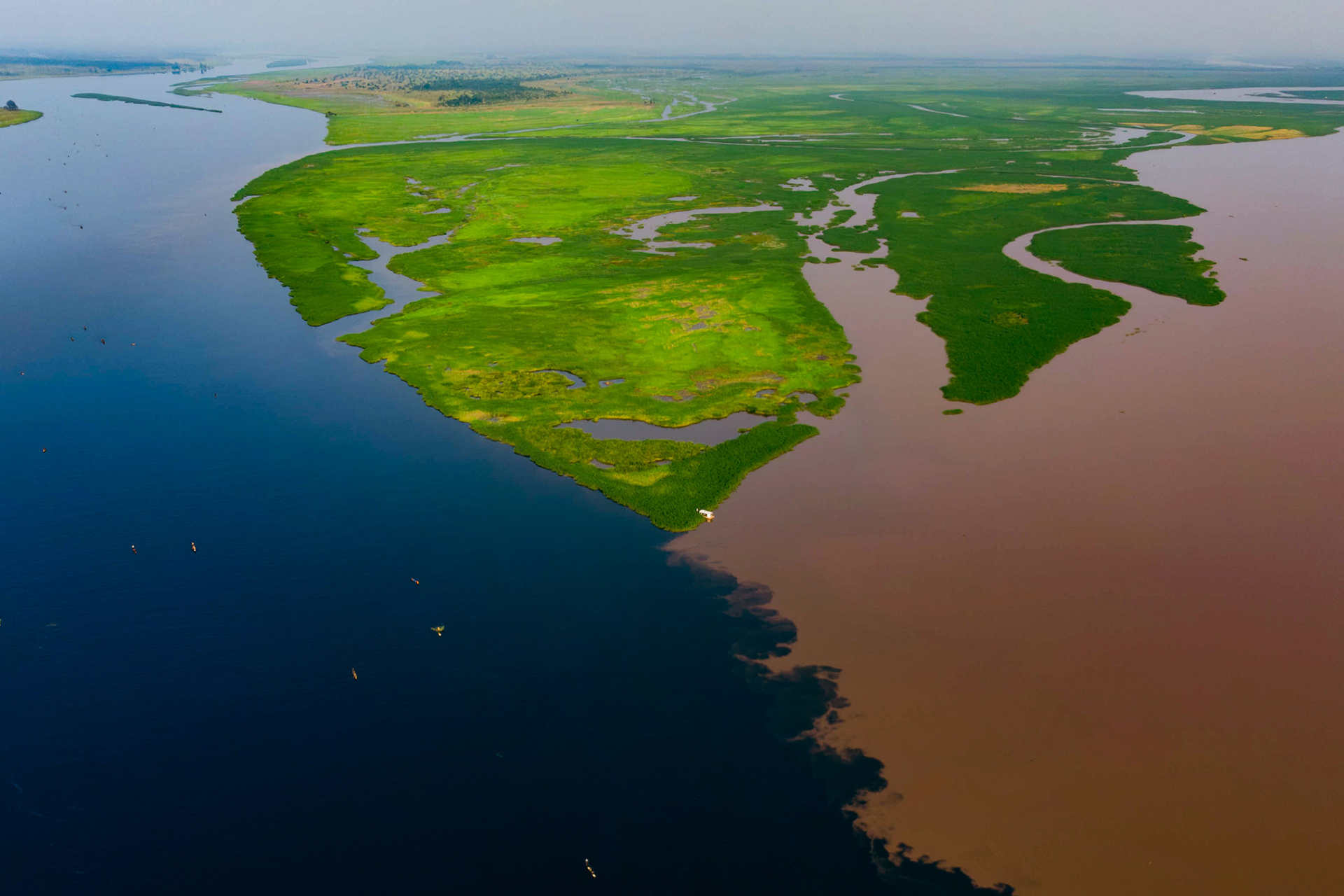 Le torbiere del Congo rilasciano carbonio antico nell'atmosfera