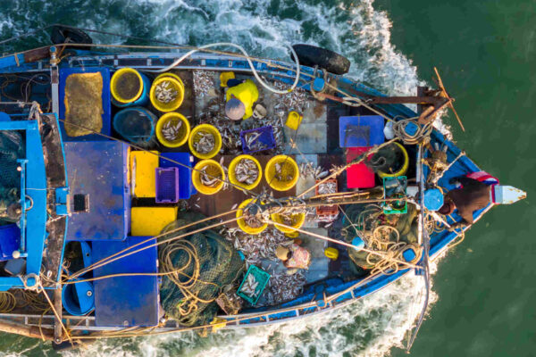 Panamá y Global Fishing Watch exigen transparencia en la pesca.