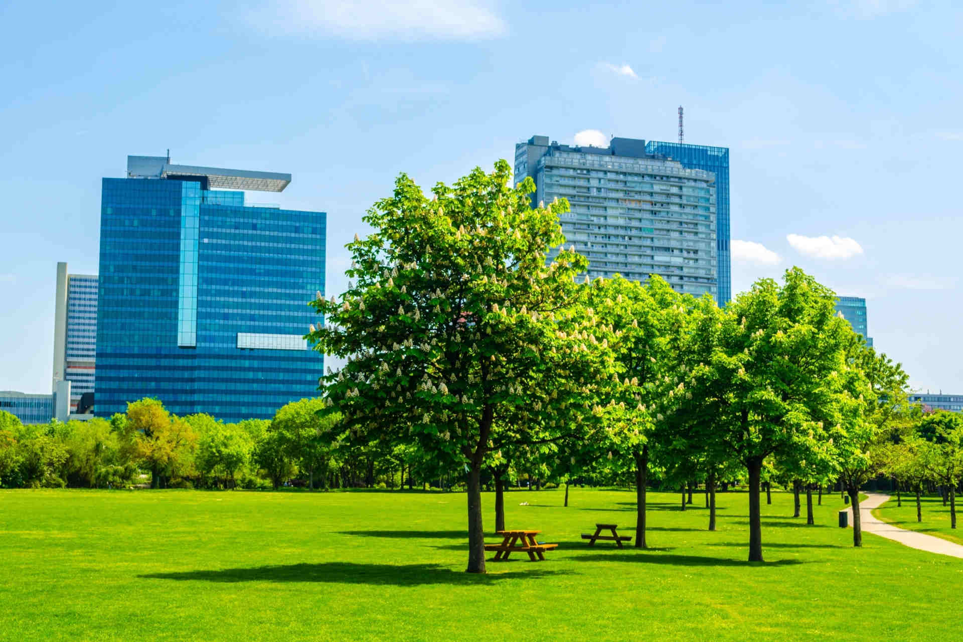 Calore urbano: piantare alberi non basta