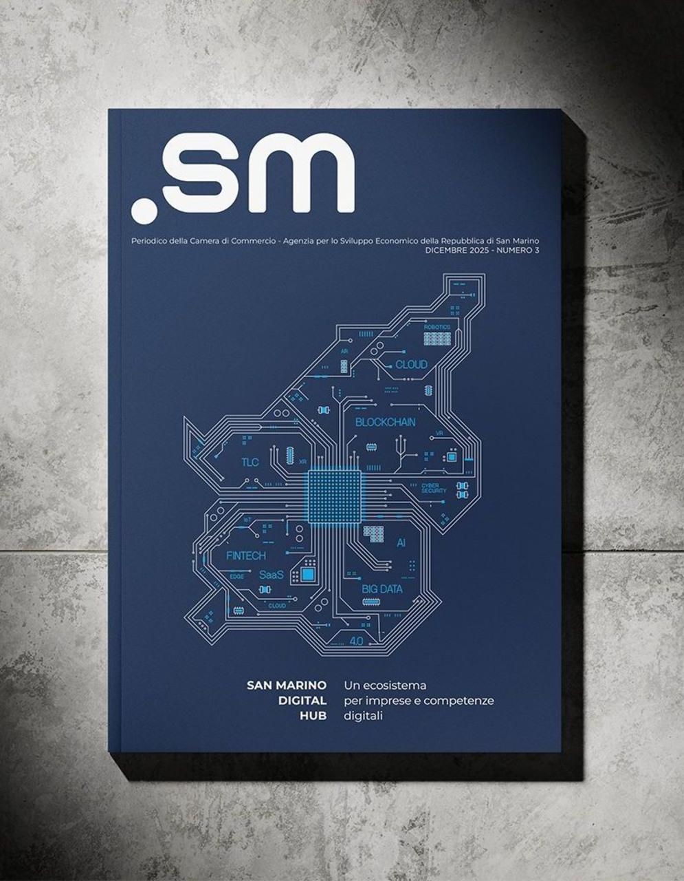 San Marino: incontro pubblico tra istituzioni, professionisti e sistema economico sulla transizione tecnologica della Repubblica, con attenzione a competenze, investimenti, lavoro e sviluppo del Digital HUB