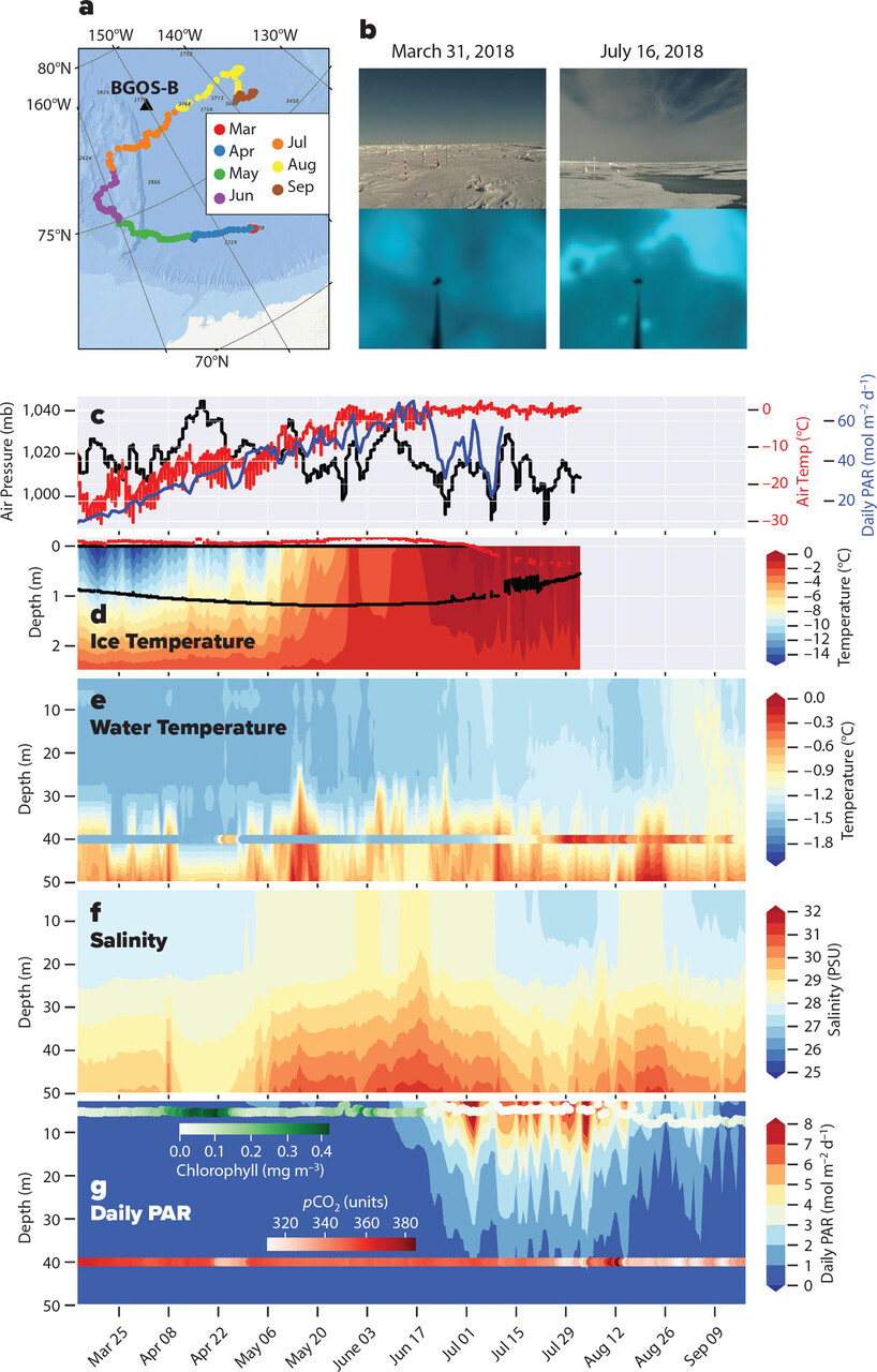 Ghiacci mobili: tecnologie autonome per monitorare l’Oceano Artico tra ghiaccio marino, boe alla deriva, glider, profiler, sensori oceanografici, telemetria satellitare e ricerca climatica polare oggi