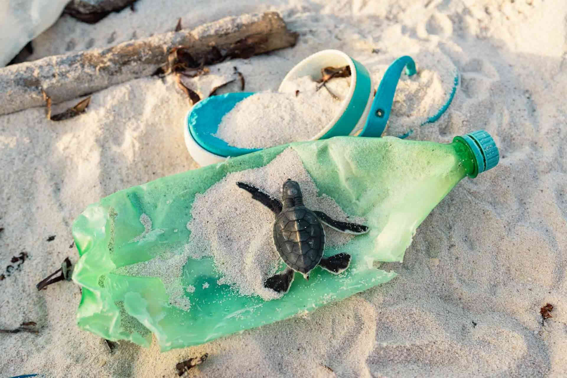 Dove arriva l'inquinamento da plastica?