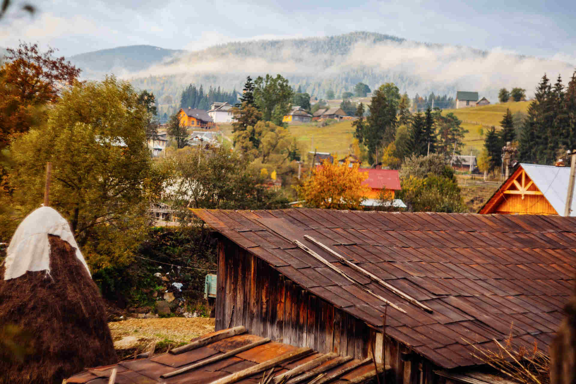 Biodiversità e benessere economico: lo studio in Ungheria e Romania