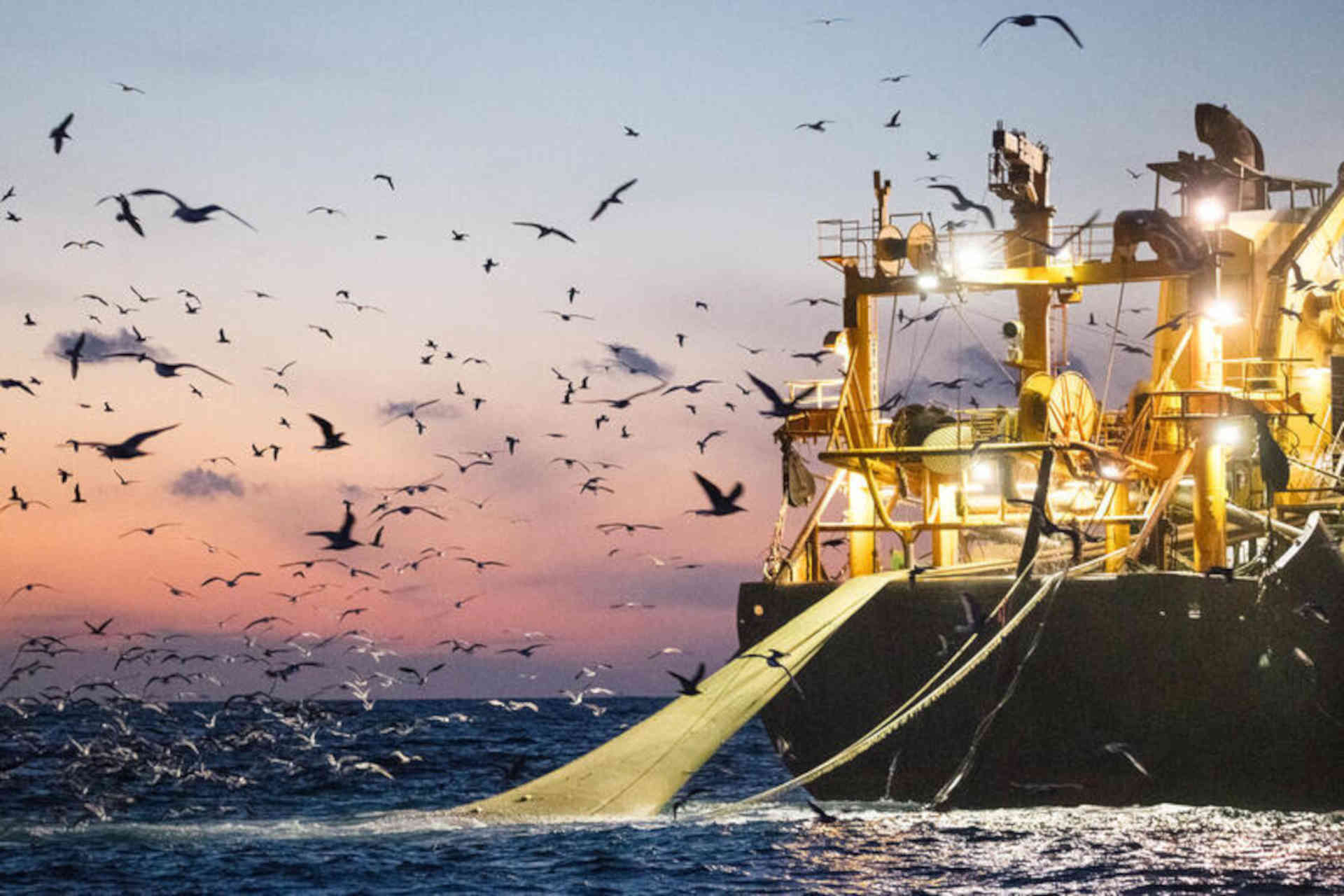 Pesca a strascico nelle Aree Marine Protette