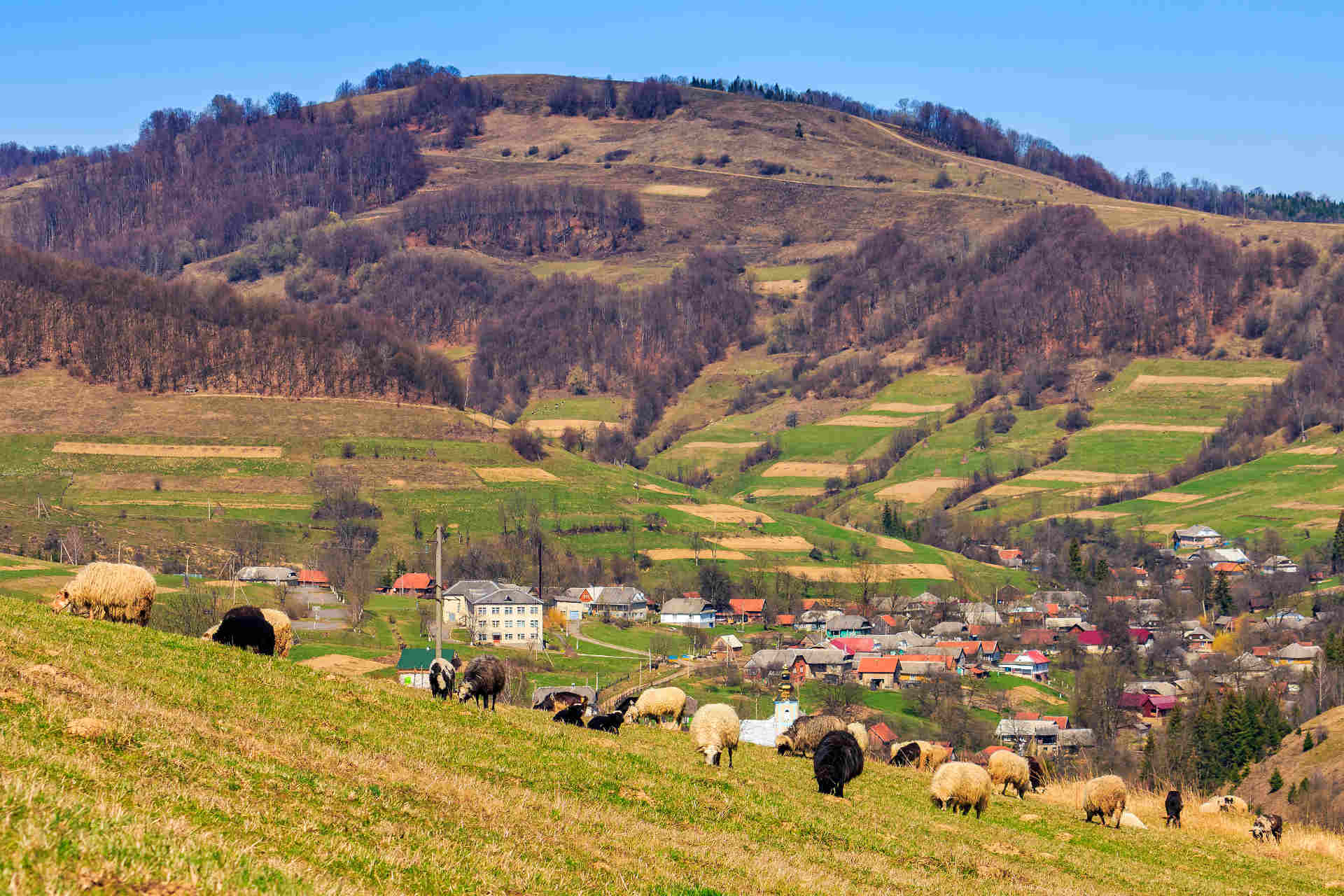 Il ruolo della biodiversità nei paesaggi rurali europei