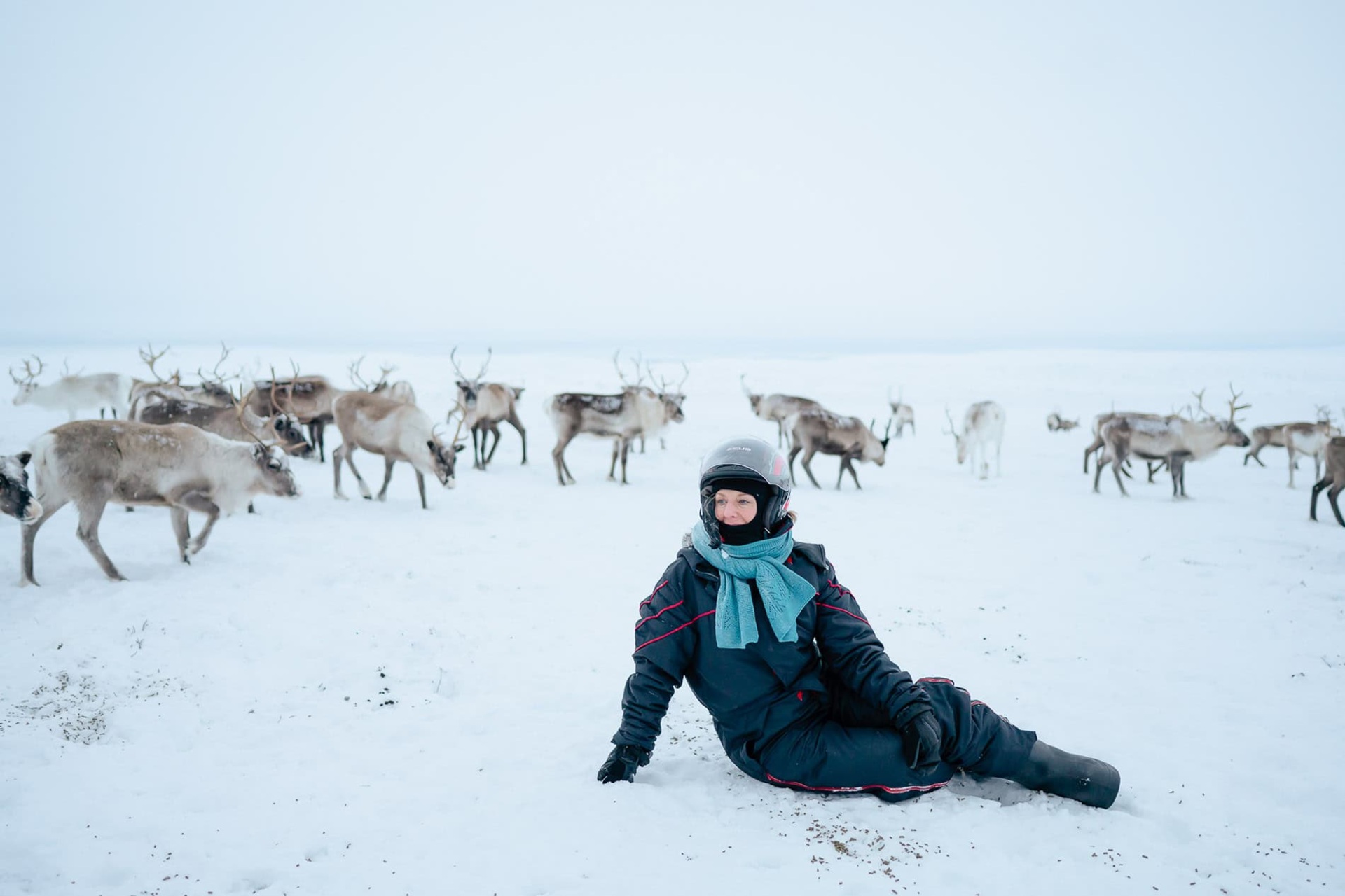 Samisk: Arktiske økonomier og lokale bedrifter viser en innovasjonsmodell som er forskjellig fra Silicon Valley, nært knyttet til identitet, territorium, sosiale relasjoner, språk og felles kulturell kontinuitet.