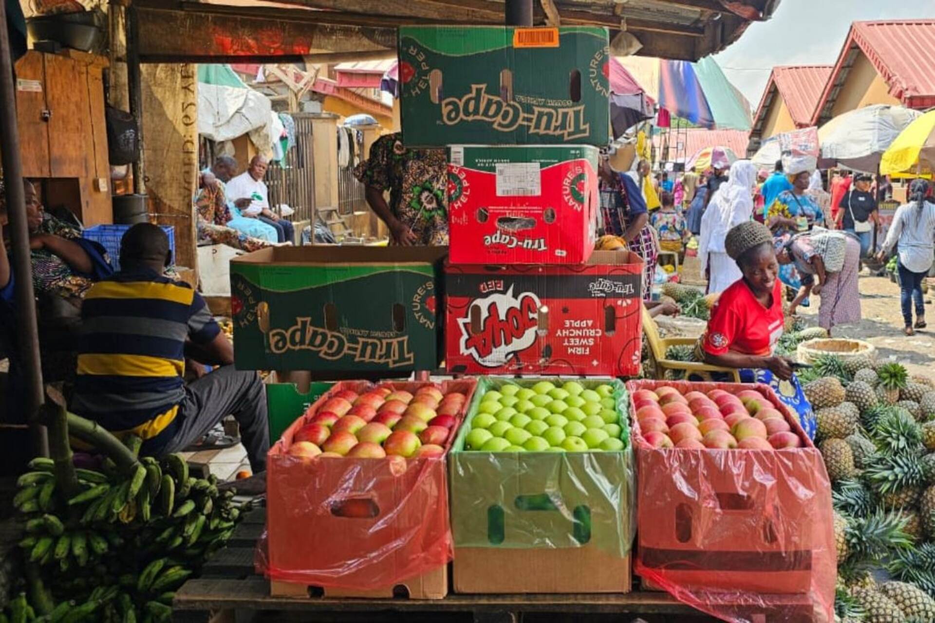 Zuid-Afrikaanse appels en peren: vers fruit in kratten en trays vertelt het verhaal van exportketens, variëteitskwaliteit, de koelketen en nieuwe markten voor de agro-industrie van het hedendaagse en geglobaliseerde Zuid-Afrika.
