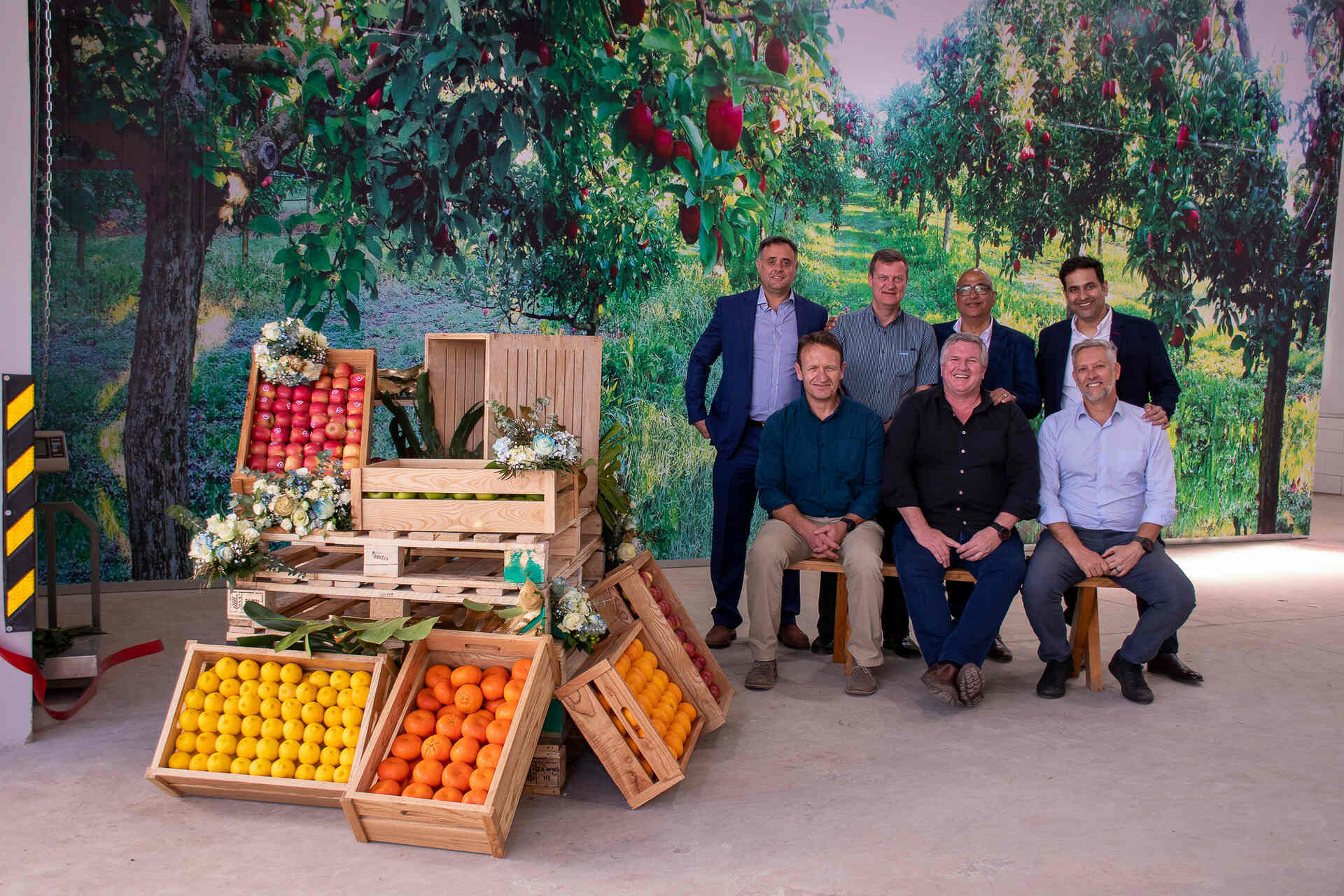 Zuid-Afrikaanse appels en peren: vers fruit in kratten en trays vertelt het verhaal van exportketens, variëteitskwaliteit, de koelketen en nieuwe markten voor de agro-industrie van het hedendaagse en geglobaliseerde Zuid-Afrika.
