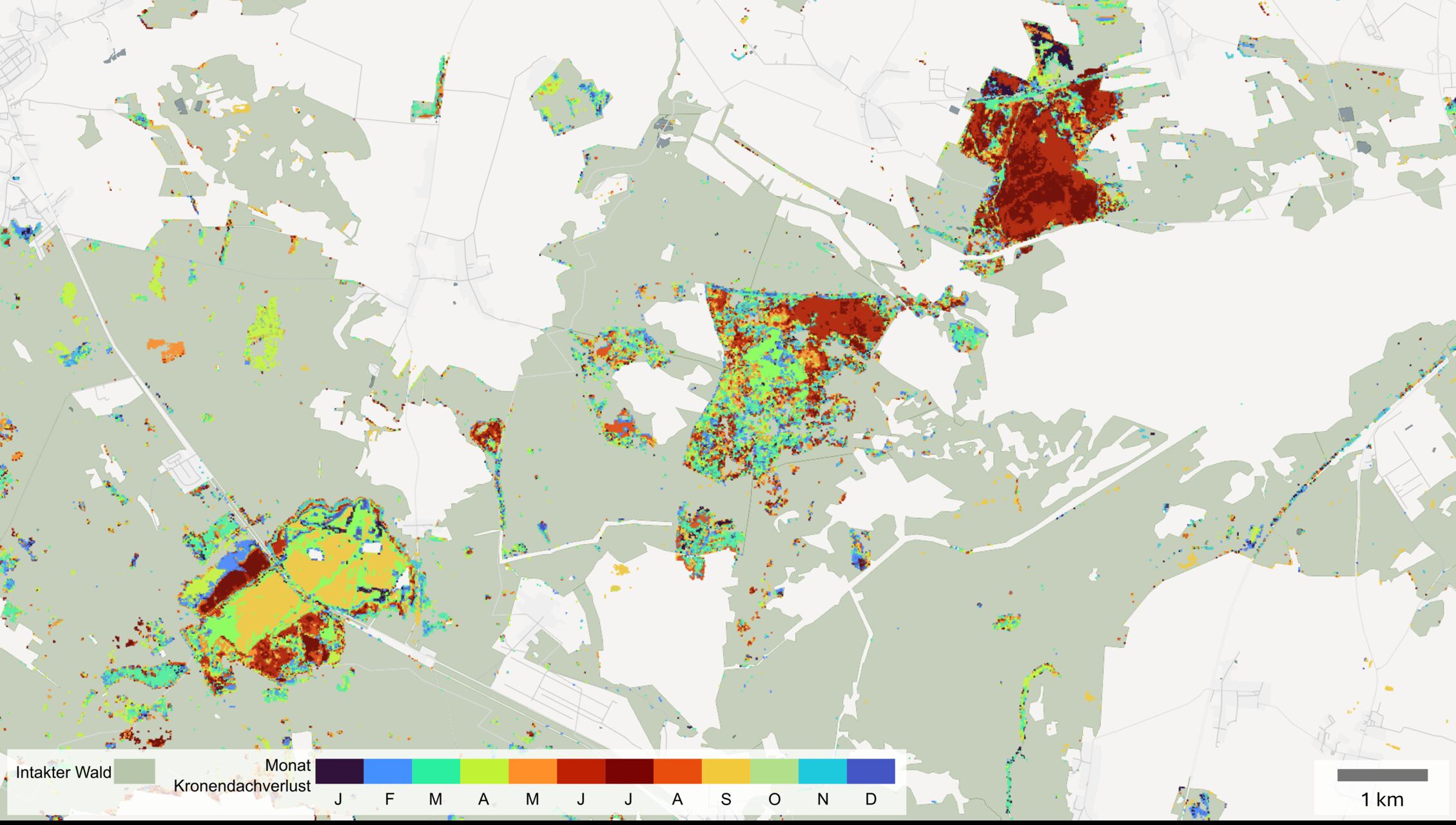 Satelliti e foreste: dati di osservazione terrestre applicati al monitoraggio dei boschi, tra perdita di chioma, salute degli alberi, gestione sostenibile e adattamento ai cambiamenti climatici locali