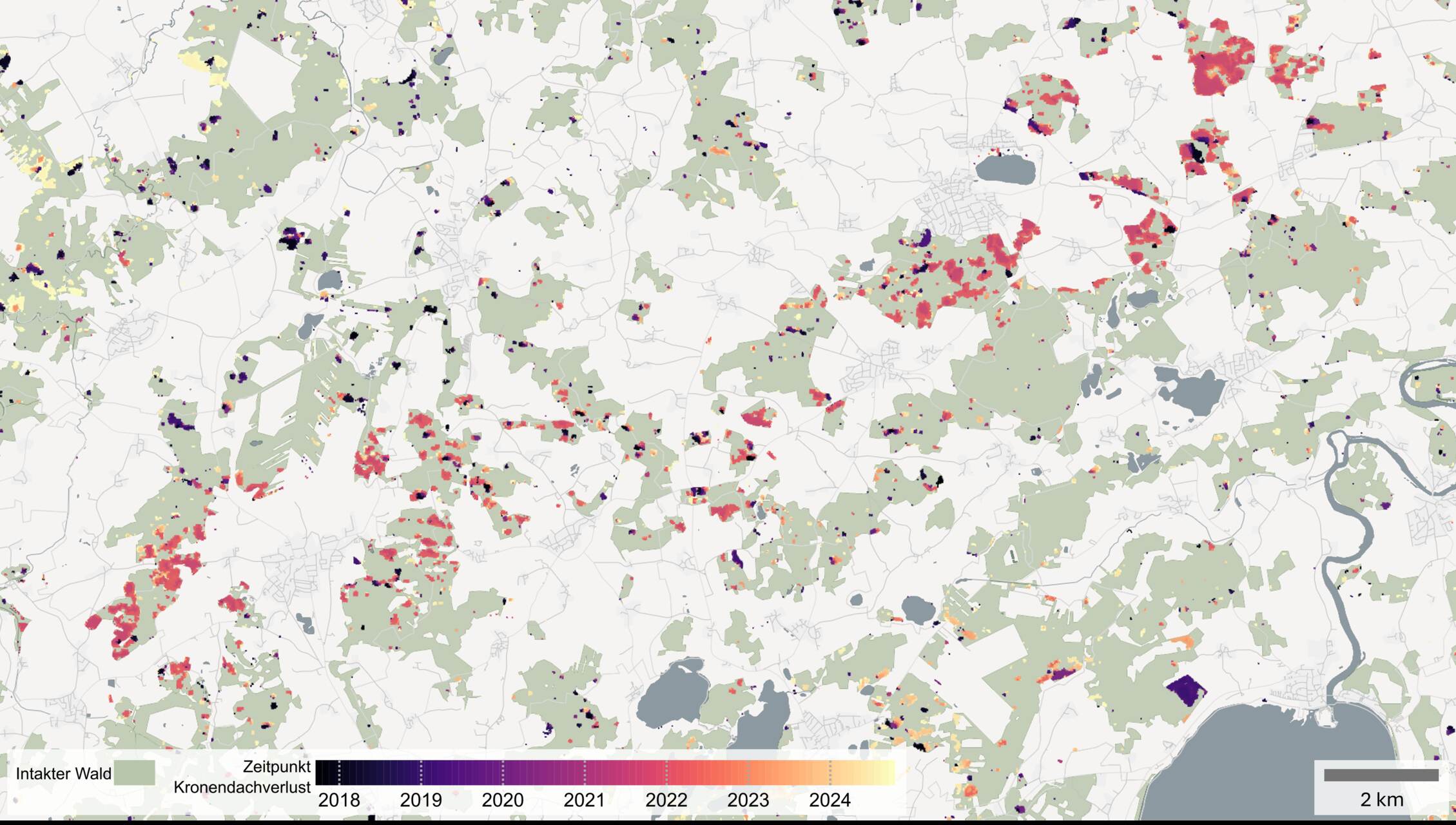 Satelliti e foreste: mappa digitale della copertura arborea in Germania, con dati satellitari usati per monitorare perdite, stress climatico, incendi, tempeste e cambiamenti nei paesaggi boschivi vivi