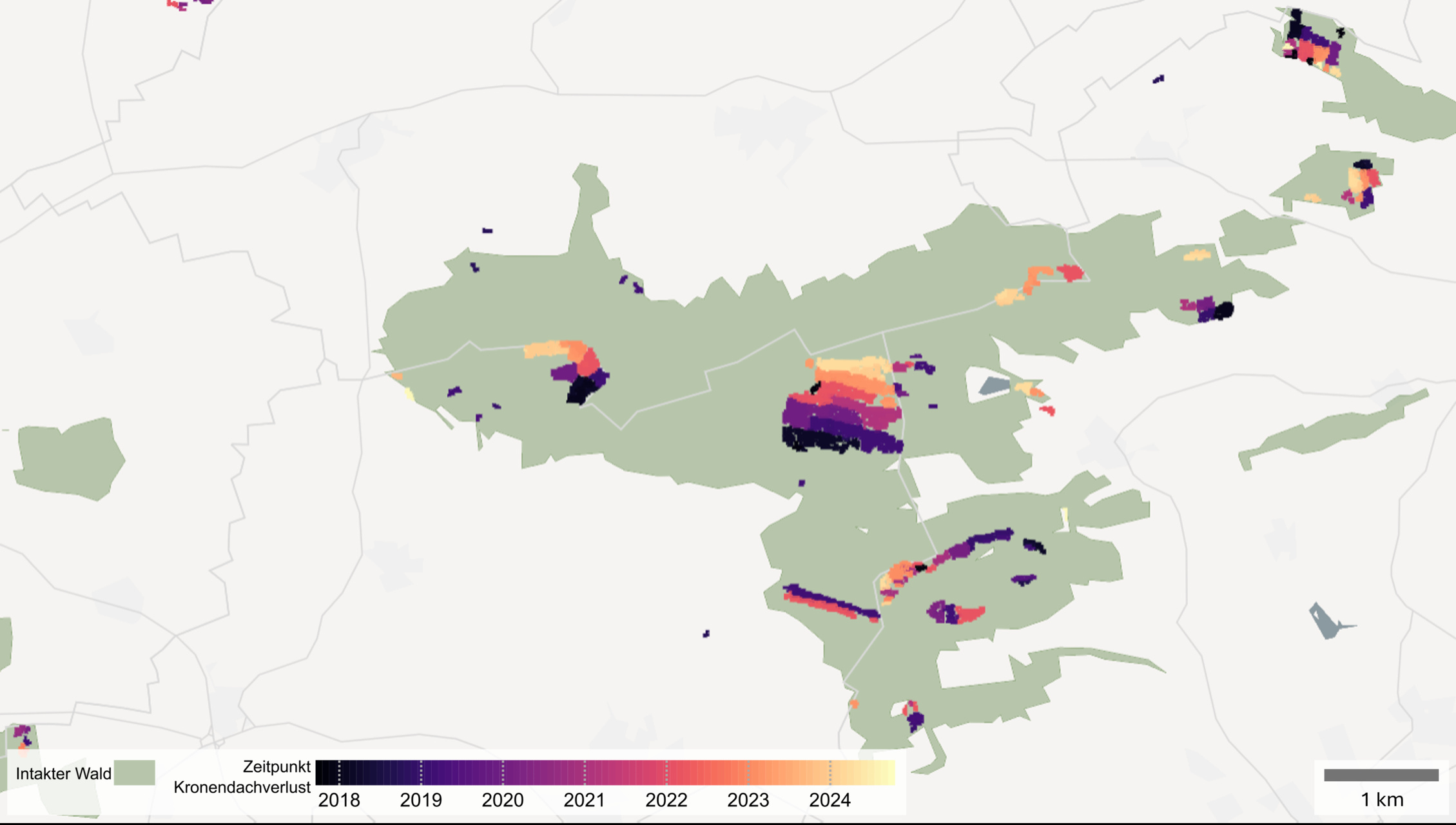 Satelliti e foreste: dati di osservazione terrestre applicati al monitoraggio dei boschi, tra perdita di chioma, salute degli alberi, gestione sostenibile e adattamento ai cambiamenti climatici locali
