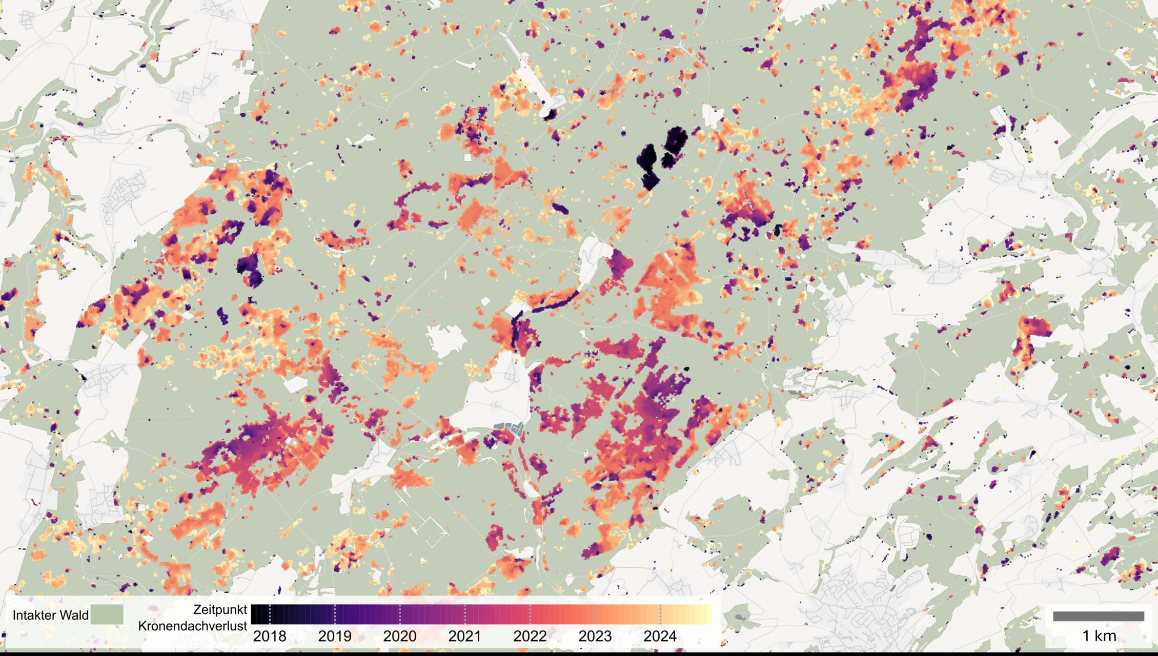 Satelliti e foreste: visualizzazione dei danni agli ecosistemi boschivi, con immagini e mappe utili a monitorare copertura arborea, siccità, parassiti, incendi e strategie di gestione ambientale utile