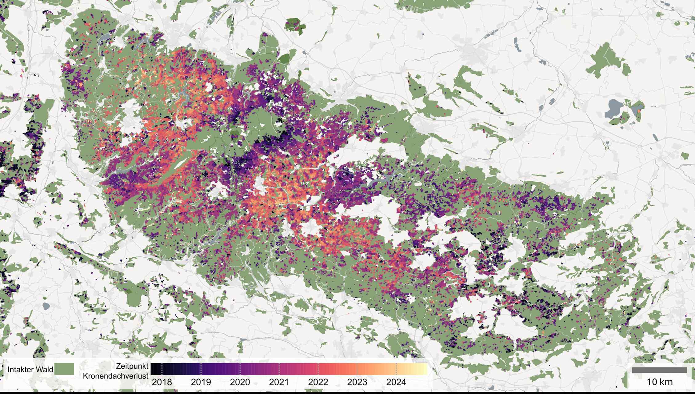 Satelliti e foreste: visualizzazione dei danni agli ecosistemi boschivi, con immagini e mappe utili a monitorare copertura arborea, siccità, parassiti, incendi e strategie di gestione ambientale utile