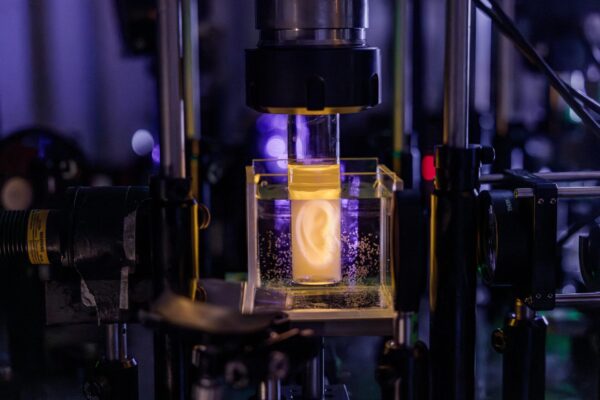 Orecchio stampato: modello anatomico creato con biostampa 3D volumetrica, luce laser e ologrammi in un laboratorio EPFL, tra ricerca biomedicale, bioresine e applicazioni verso futuri impianti clinici