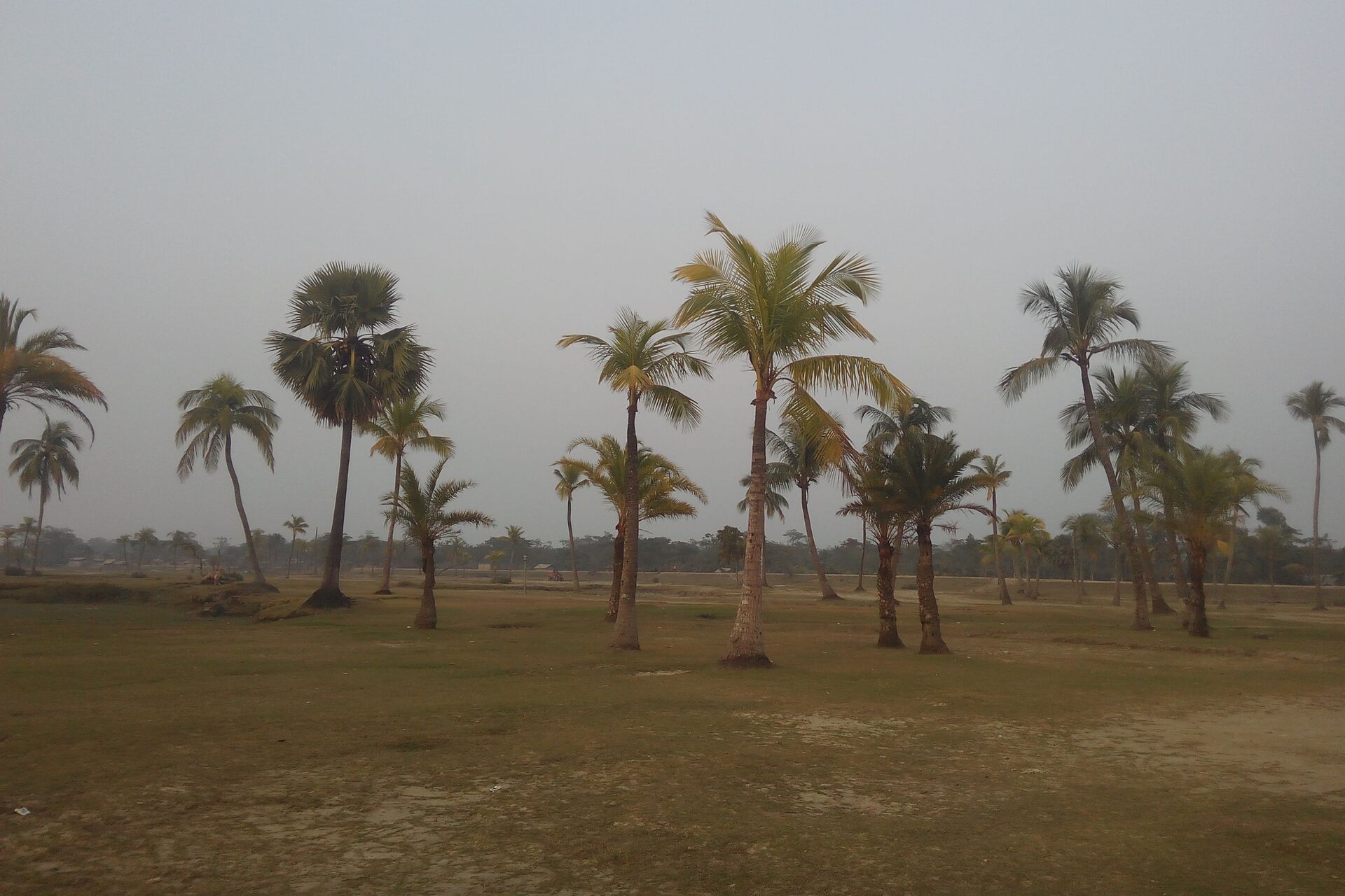 Sandwip: paesaggio costiero del Bangladesh nel delta del Meghna, tra canali, infrastrutture locali e nuove prospettive di connettività mobile satellitare per aree remote