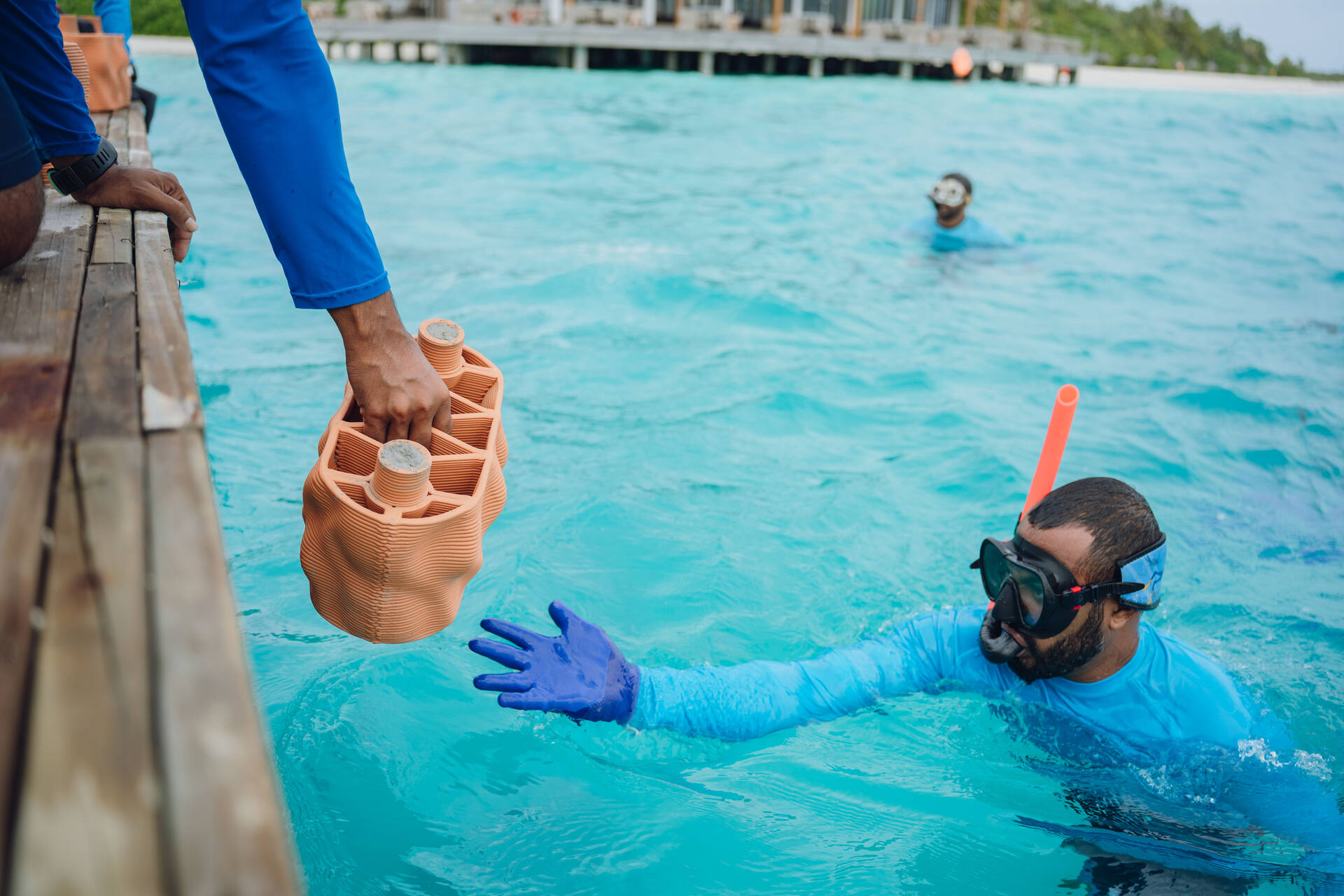 Reef artificiali: moduli sommersi progettati per imitare la complessità dei reef naturali aiutano la colonizzazione marina e la protezione degli ecosistemi oceanici