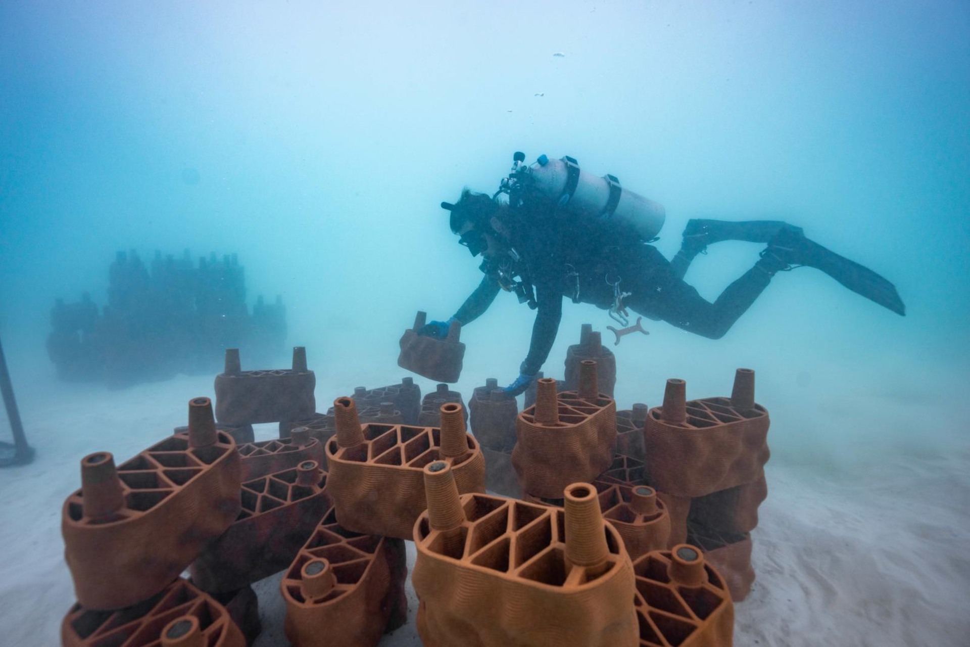 Reef artificiali: moduli in argilla stampati in 3D vengono installati sott’acqua per creare nuovi habitat marini e favorire la rigenerazione dei coralli alle Maldive
