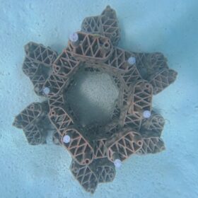 Reef artificiali: moduli in argilla stampati in 3D vengono installati sott’acqua per creare nuovi habitat marini e favorire la rigenerazione dei coralli alle Maldive