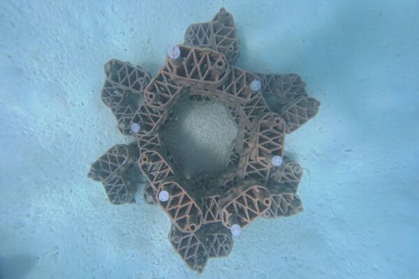Reef artificiali: moduli in argilla stampati in 3D vengono installati sott’acqua per creare nuovi habitat marini e favorire la rigenerazione dei coralli alle Maldive