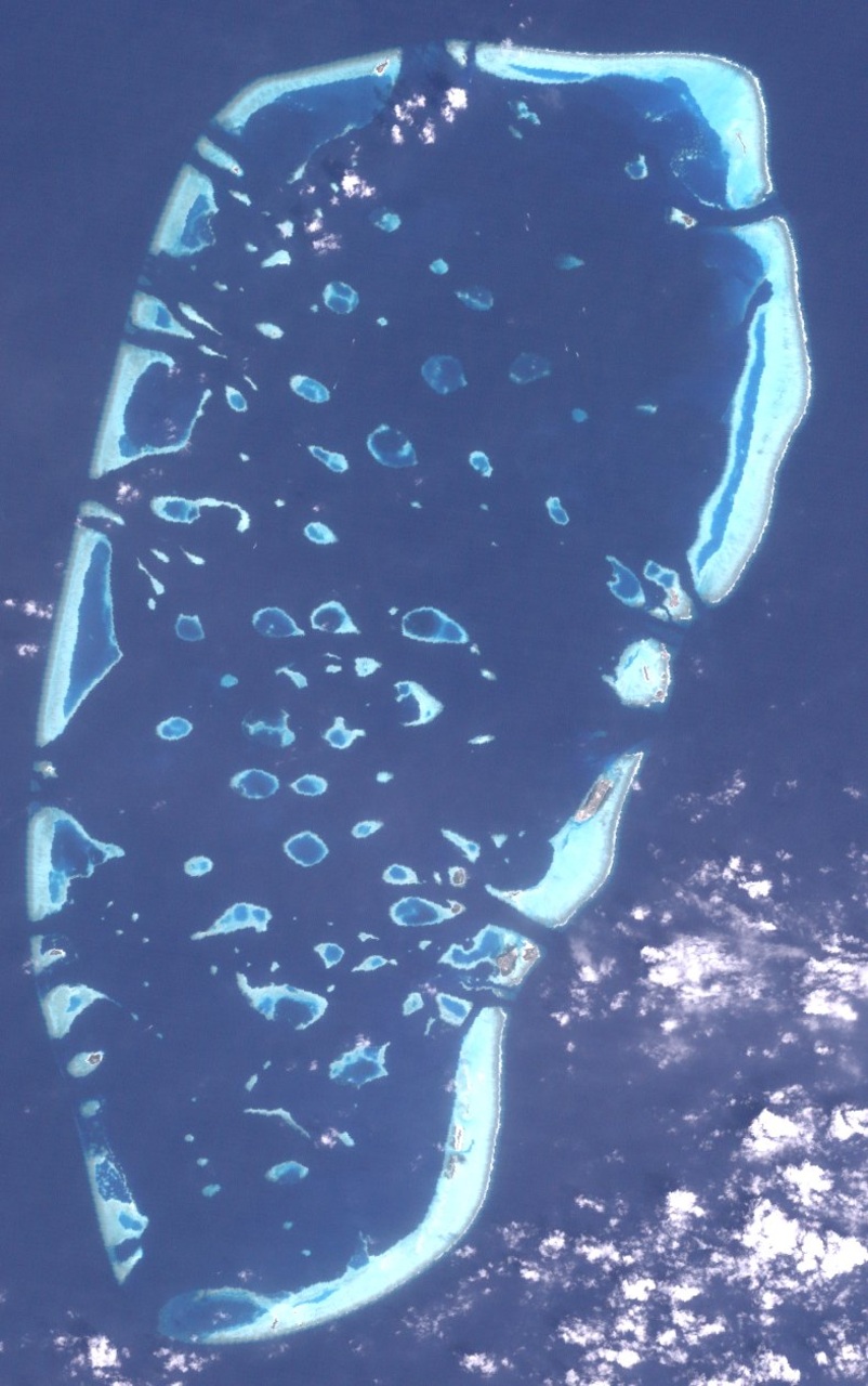 Reef artificiali: subacquei assemblano elementi stampati in 3D sul fondale marino per trasformare una laguna turistica in un laboratorio di ripristino corallino