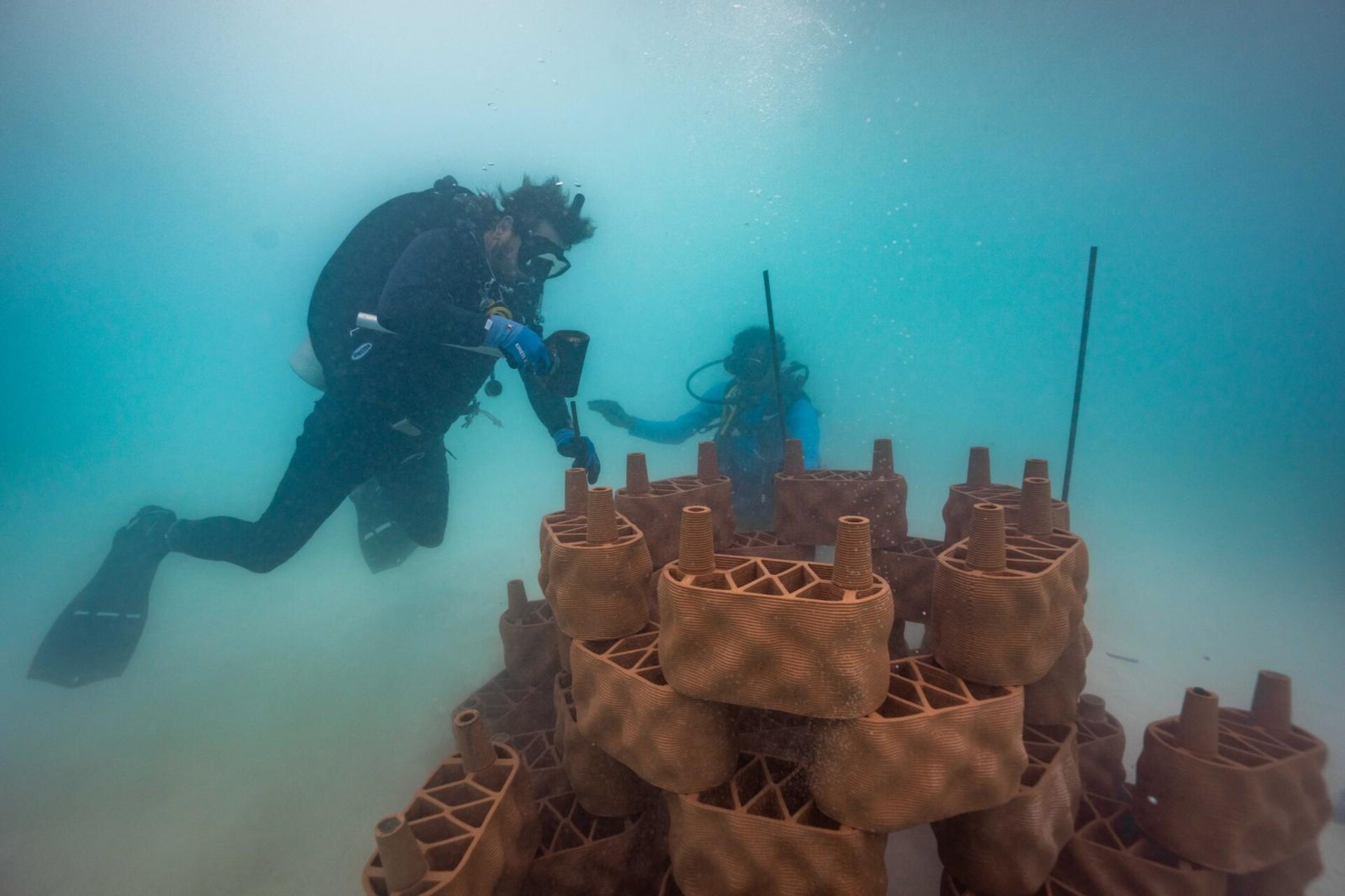 Reef artificiali: subacquei assemblano elementi stampati in 3D sul fondale marino per trasformare una laguna turistica in un laboratorio di ripristino corallino
