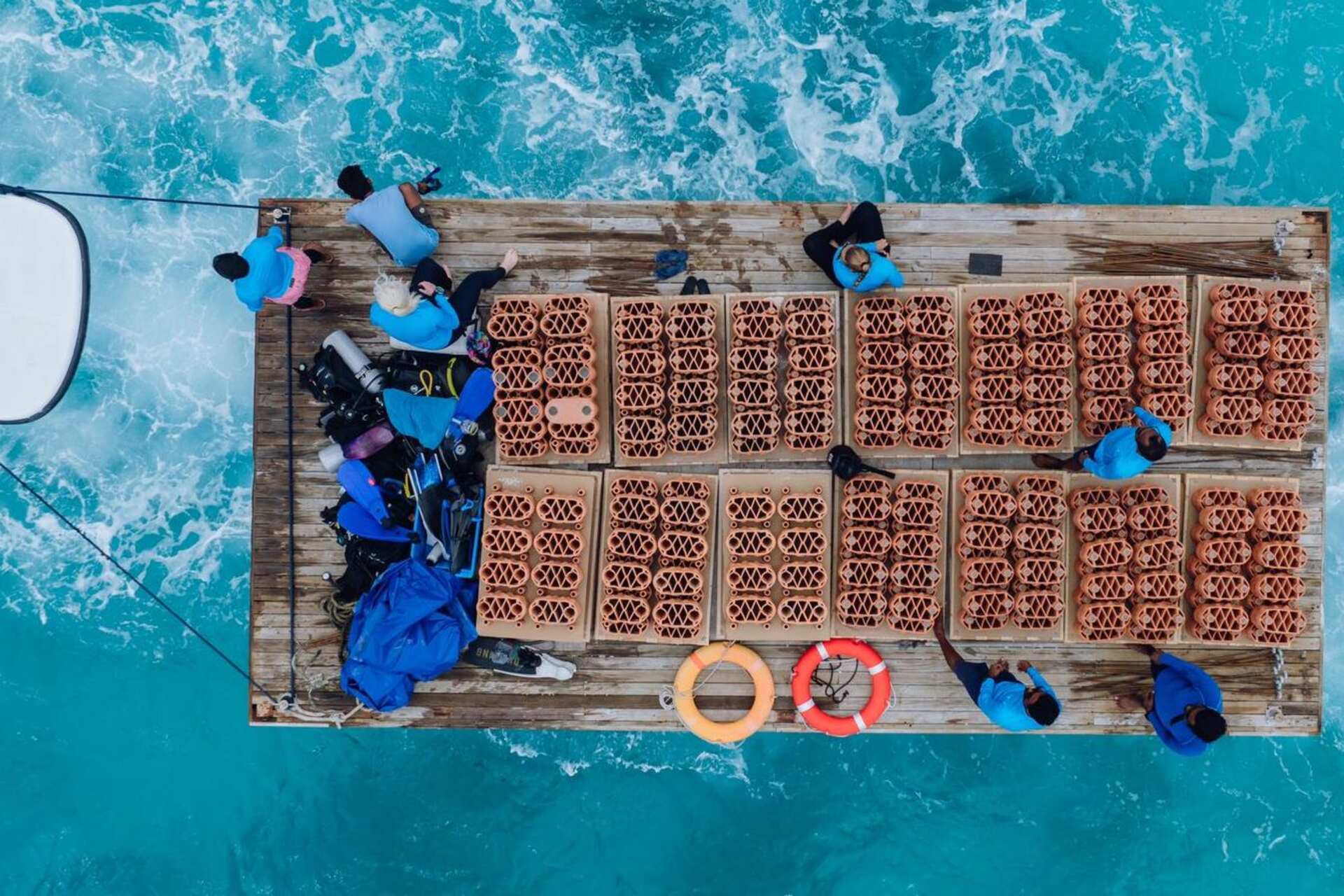 Reef artificiali: strutture modulari in terracotta vengono posate nella laguna per sostenere la biodiversità marina e offrire rifugio a pesci, coralli e piccoli organismi