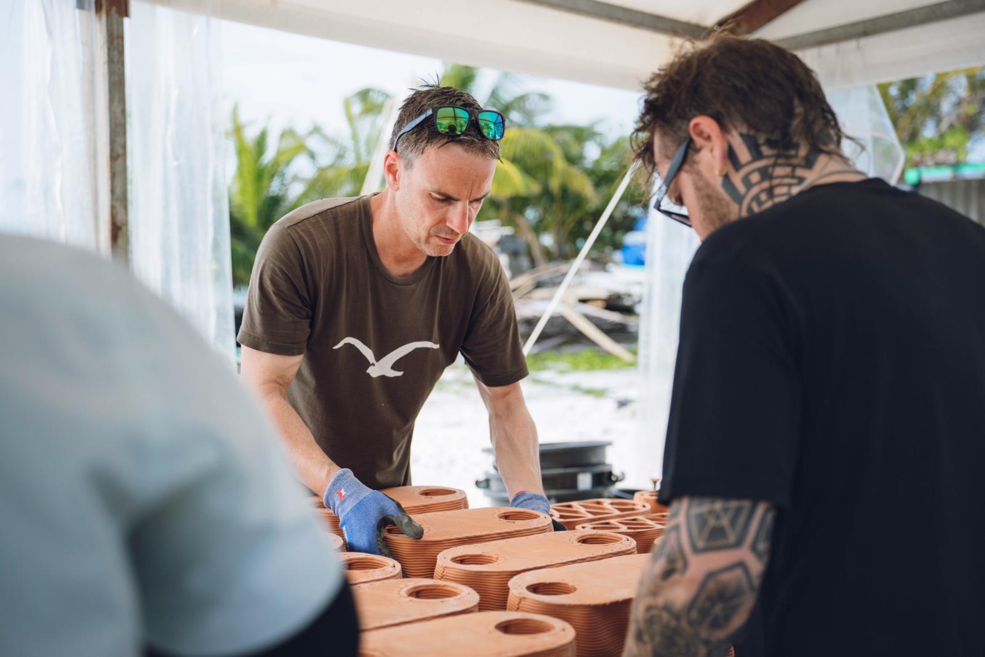 Reef artificiali: strutture modulari in terracotta vengono posate nella laguna per sostenere la biodiversità marina e offrire rifugio a pesci, coralli e piccoli organismi