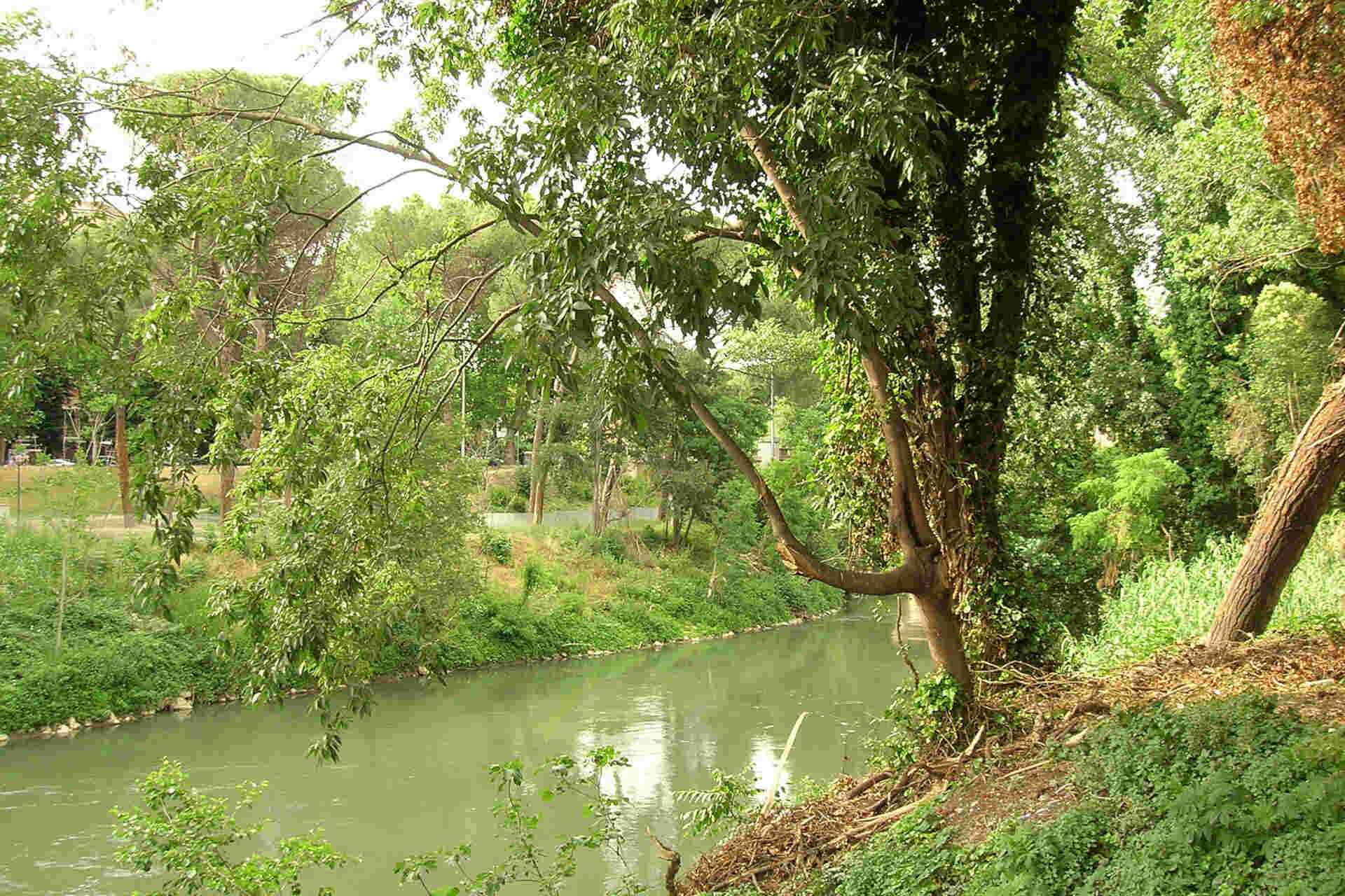 Il futuro di Roma che si sviluppa dal paesaggio