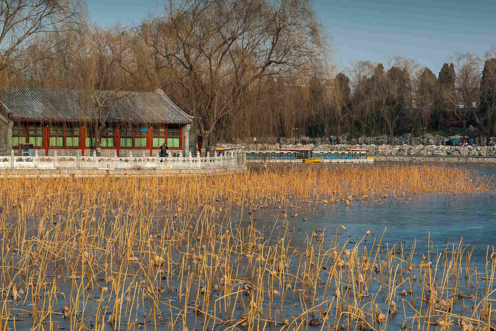 La pianificazione urbana per la biodiversità d'acqua dolce