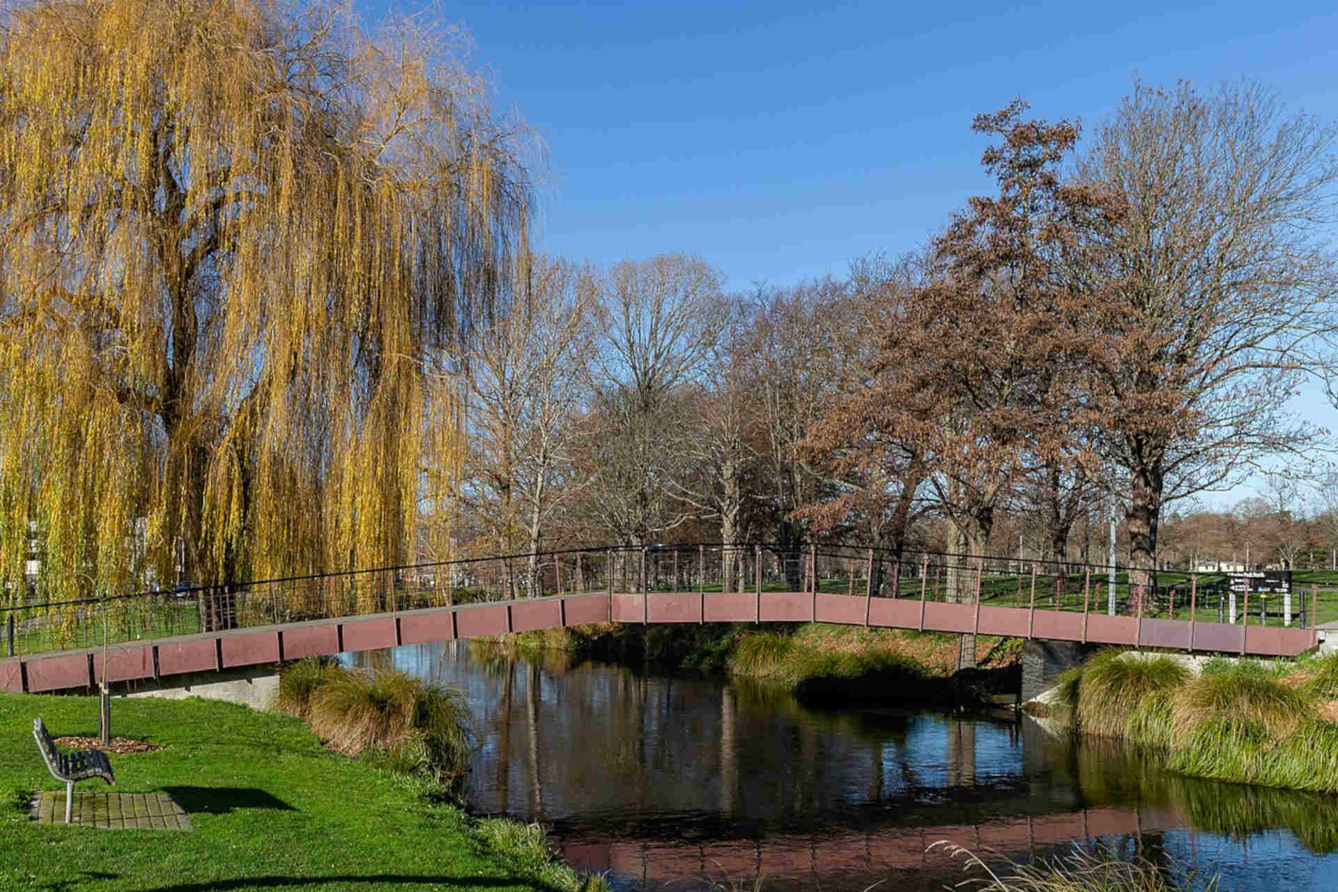 Ecosistemi d'acqua dolce in città