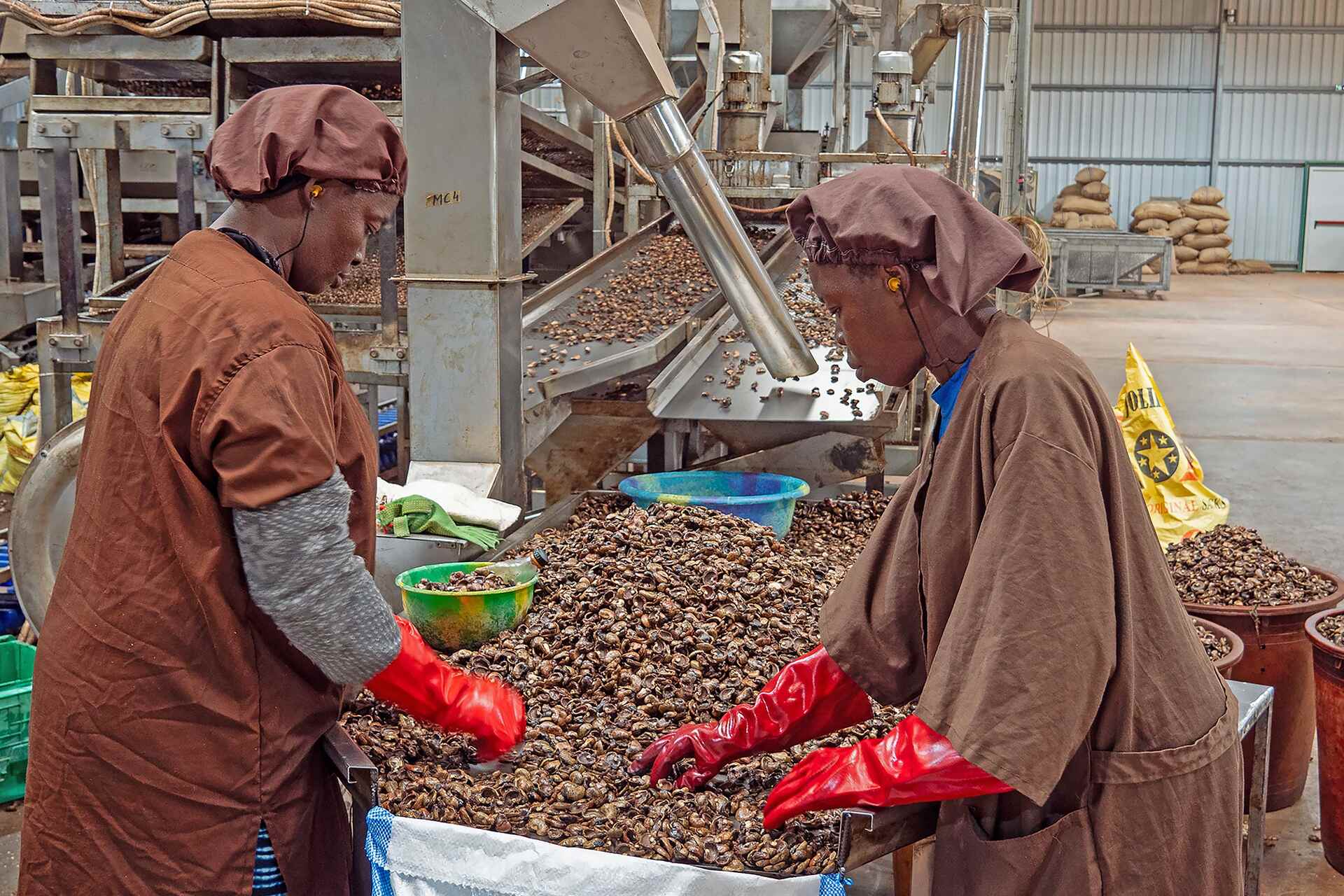 Gebana: interno della fabbrica in Burkina Faso con addette e addetti impegnati nella lavorazione di anacardi e manghi, tra selezione, logistica, preparazione alimentare e controllo qualità
