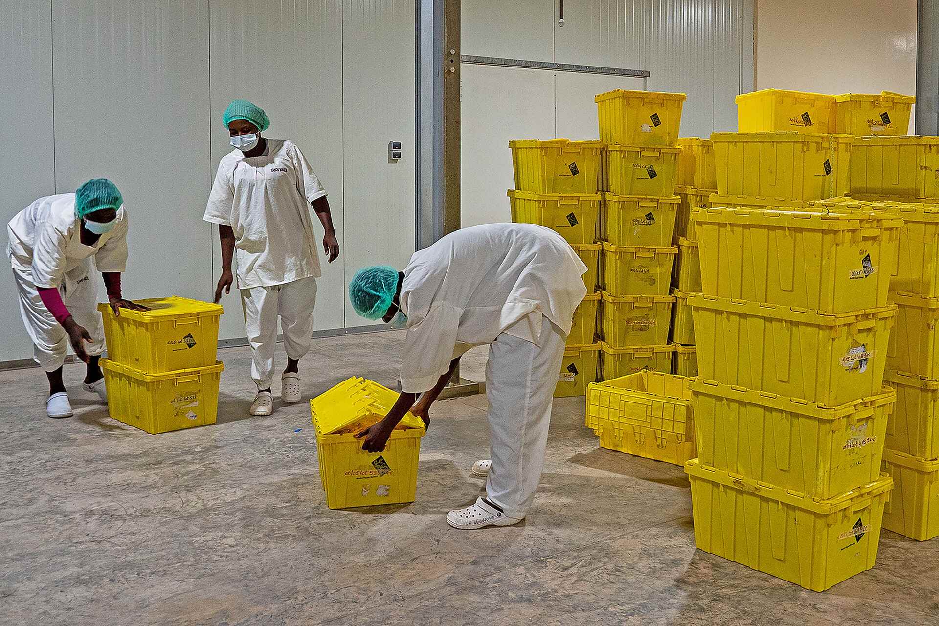 Gebana: lavoratori e rappresentanti partecipano all’inaugurazione della nuova fabbrica in Burkina Faso, dedicata alla trasformazione locale di anacardi e manghi biologici per il mercato